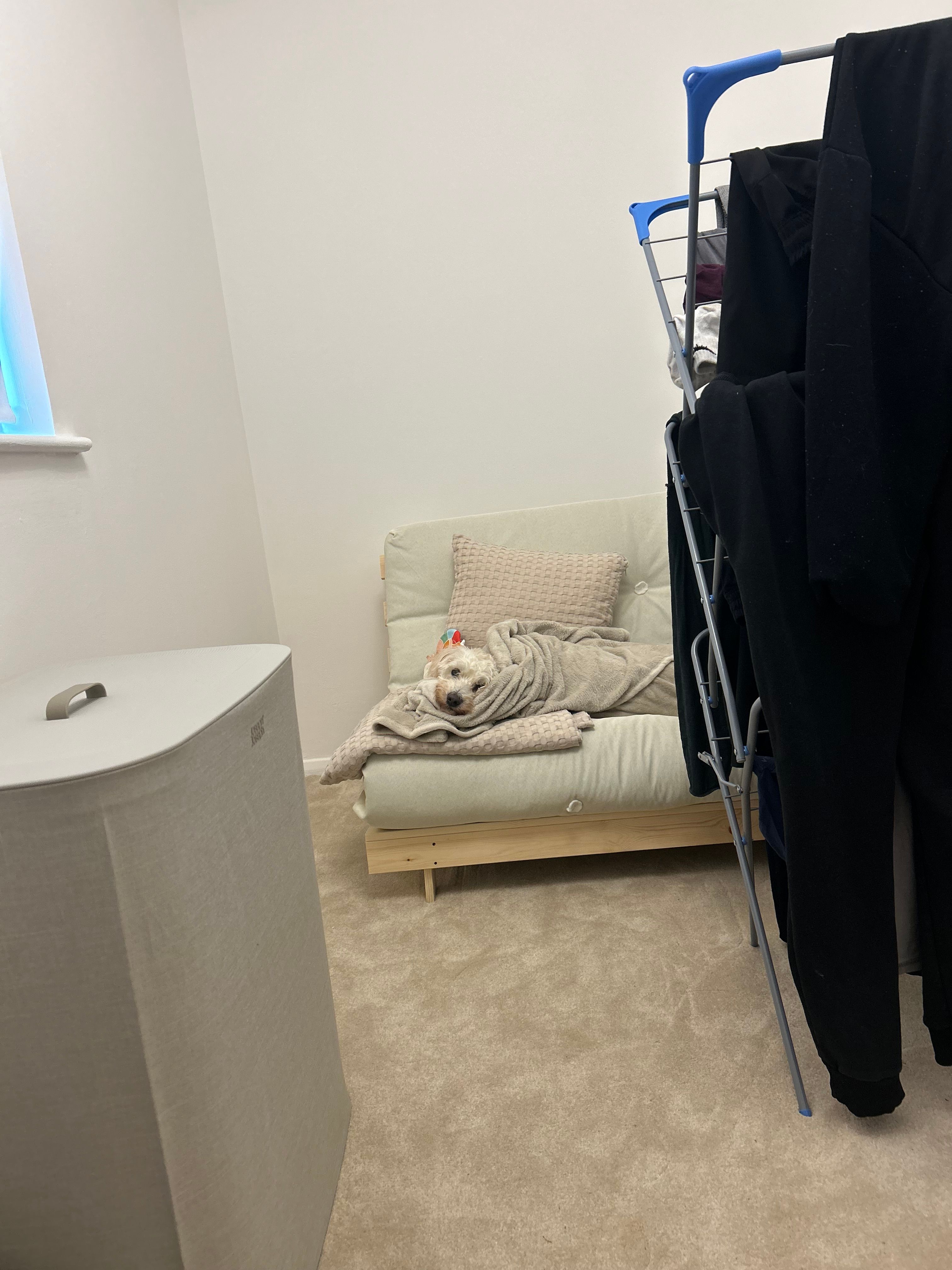 image-16