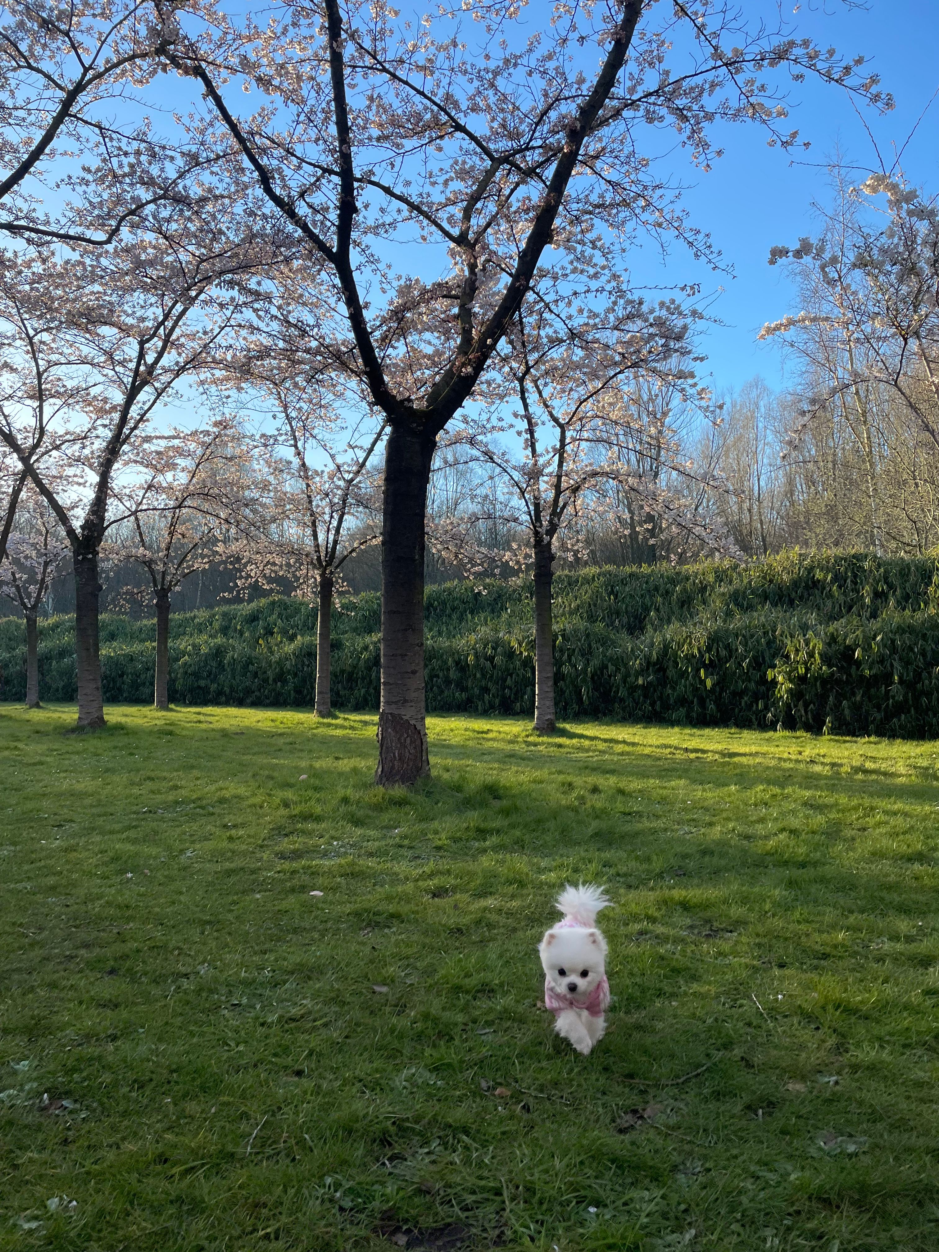 image-10