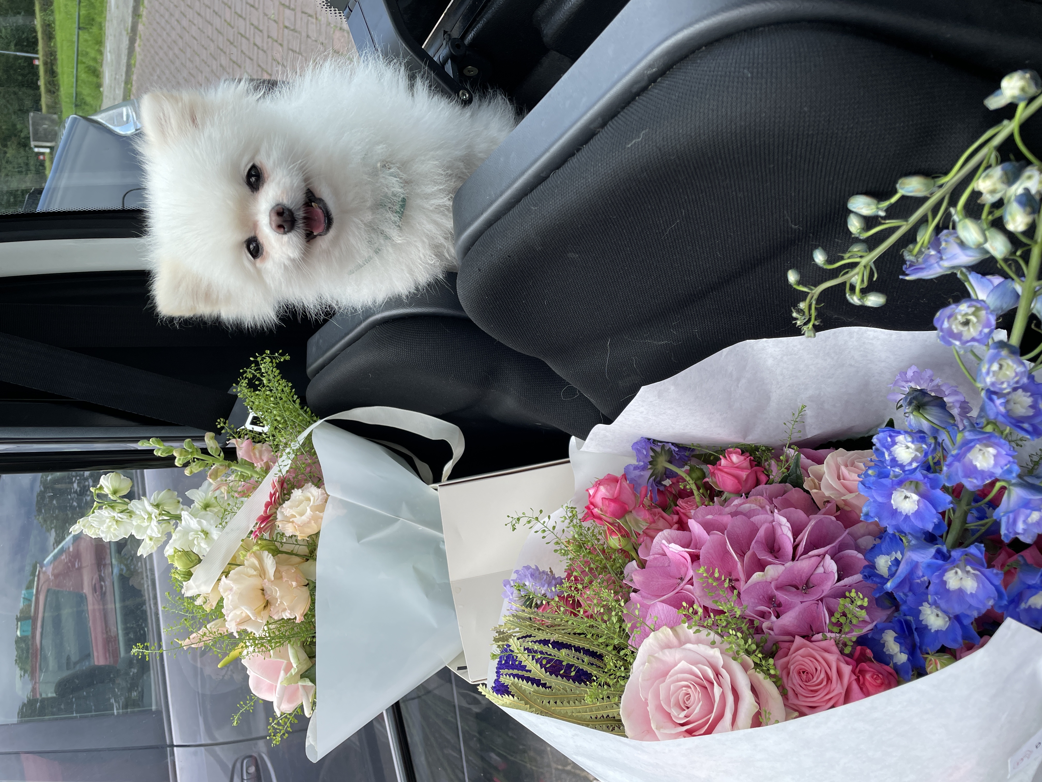 image-5