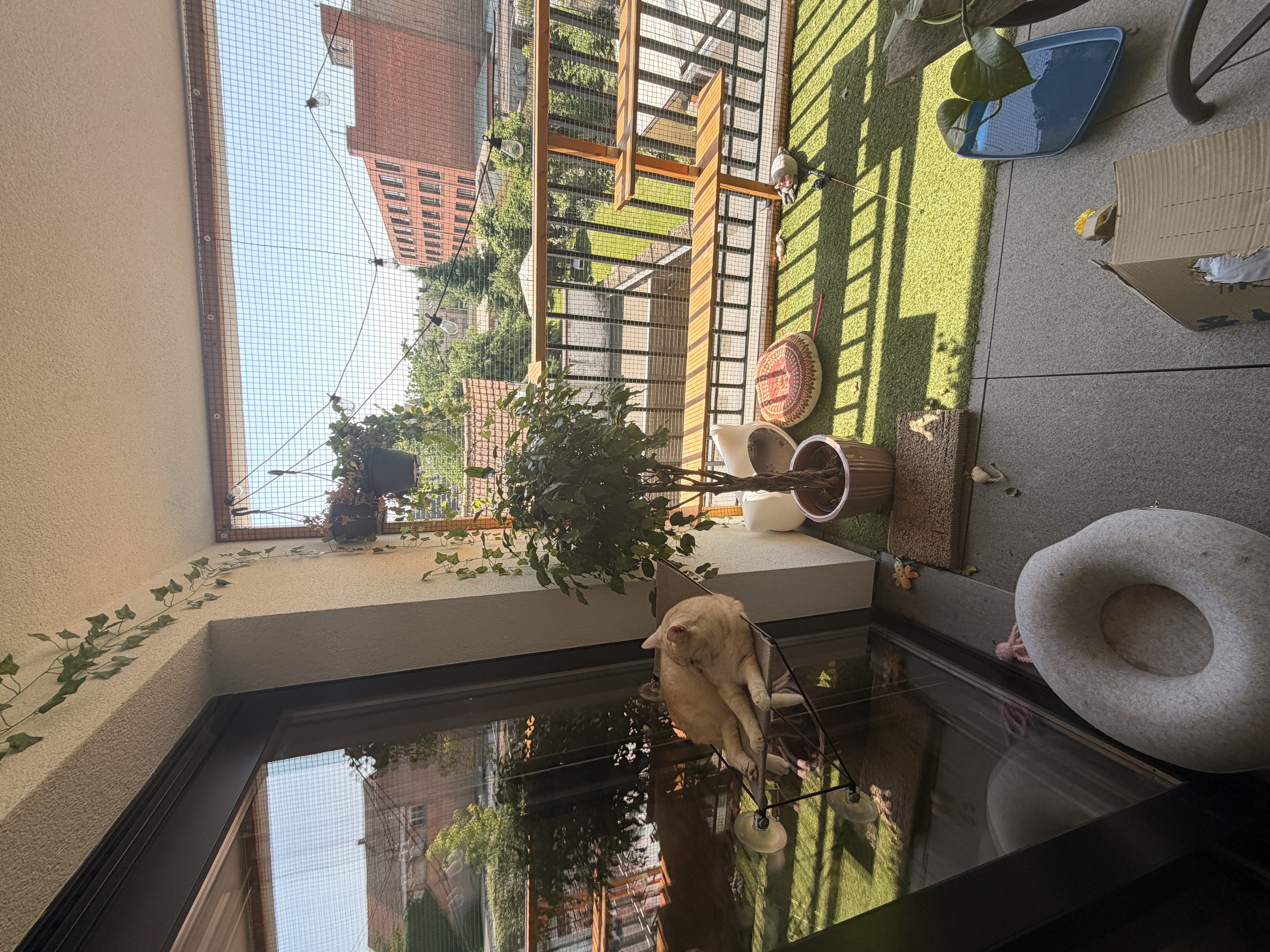 image-8