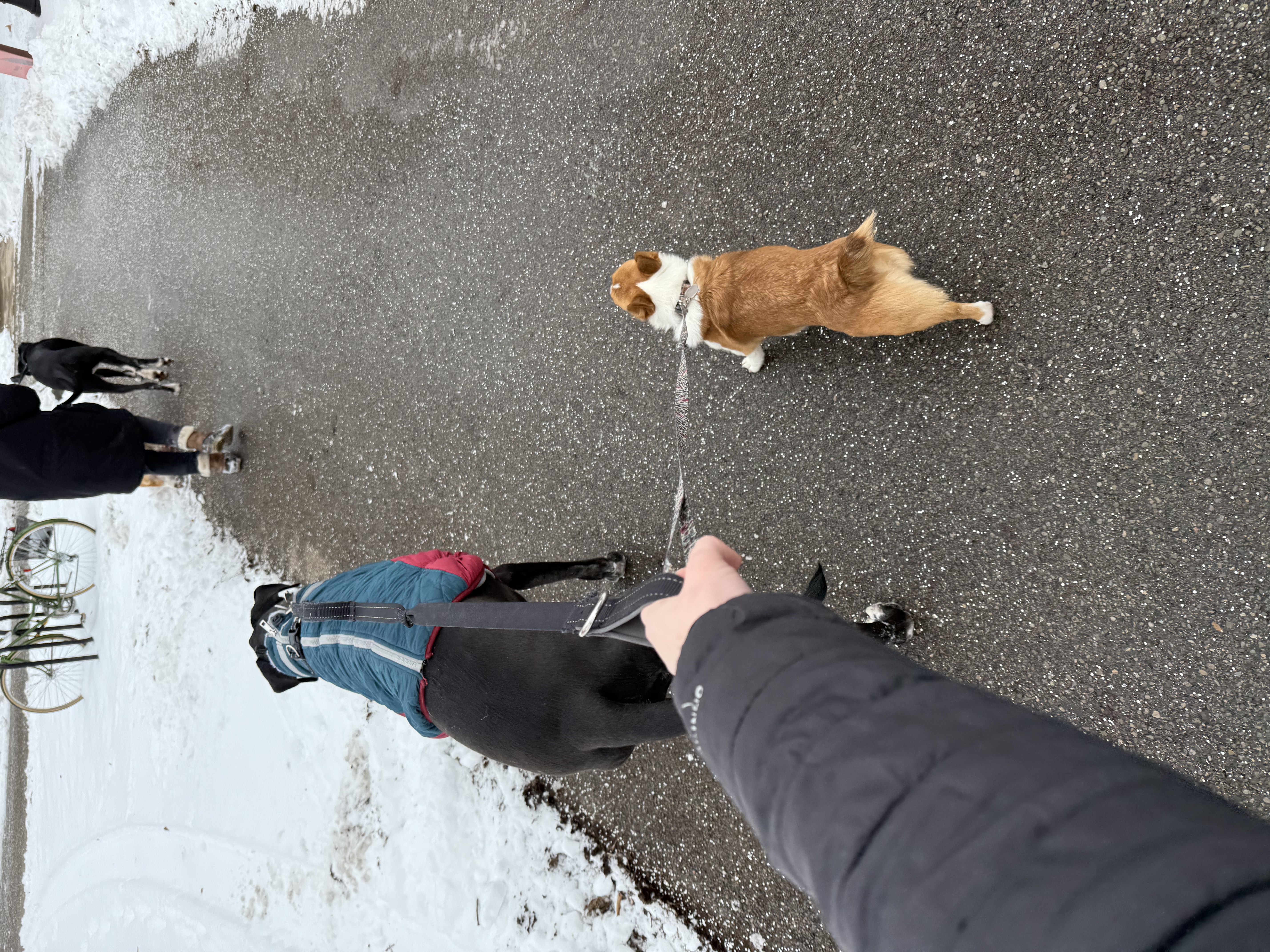 image-9