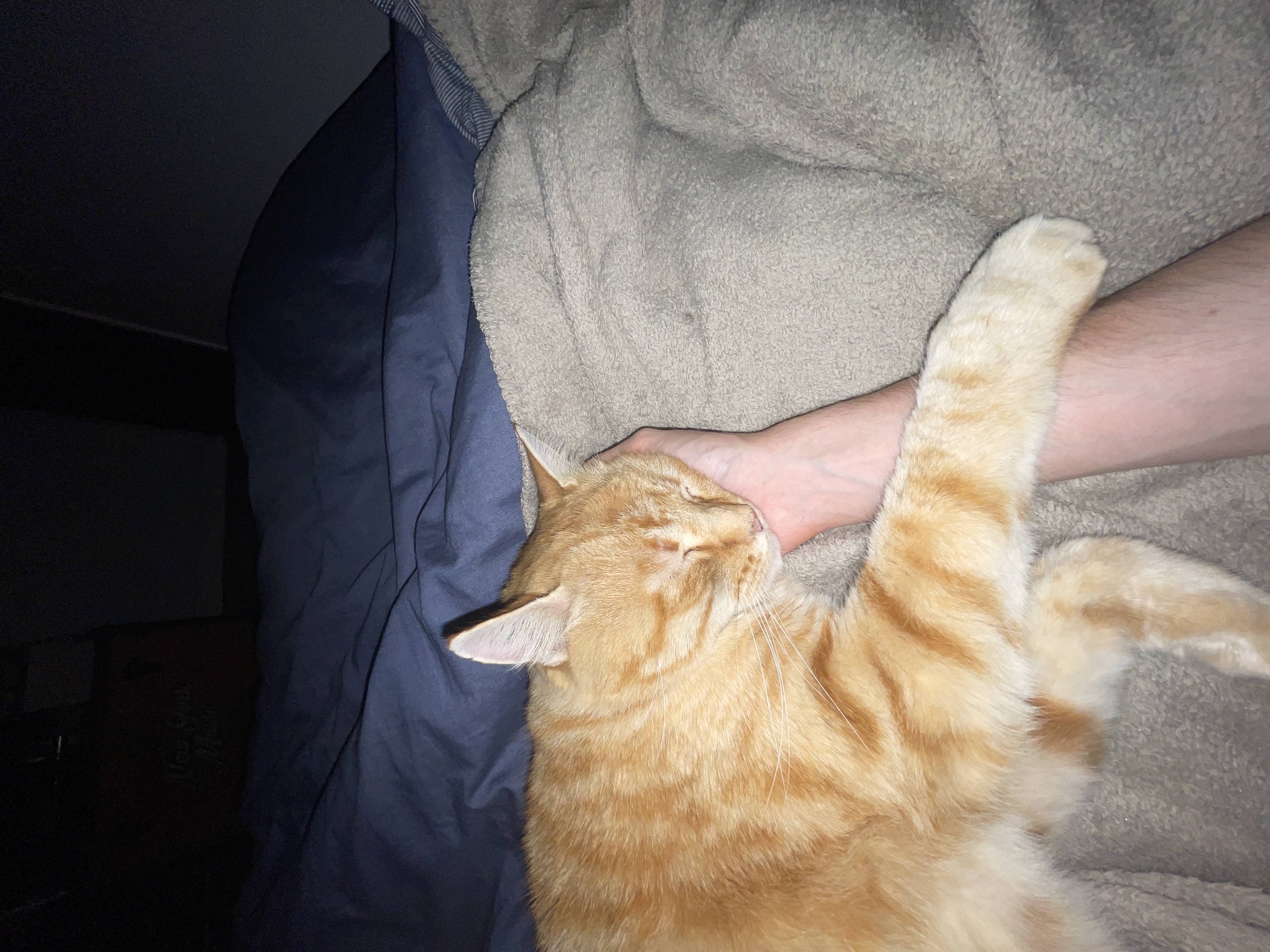 image-5