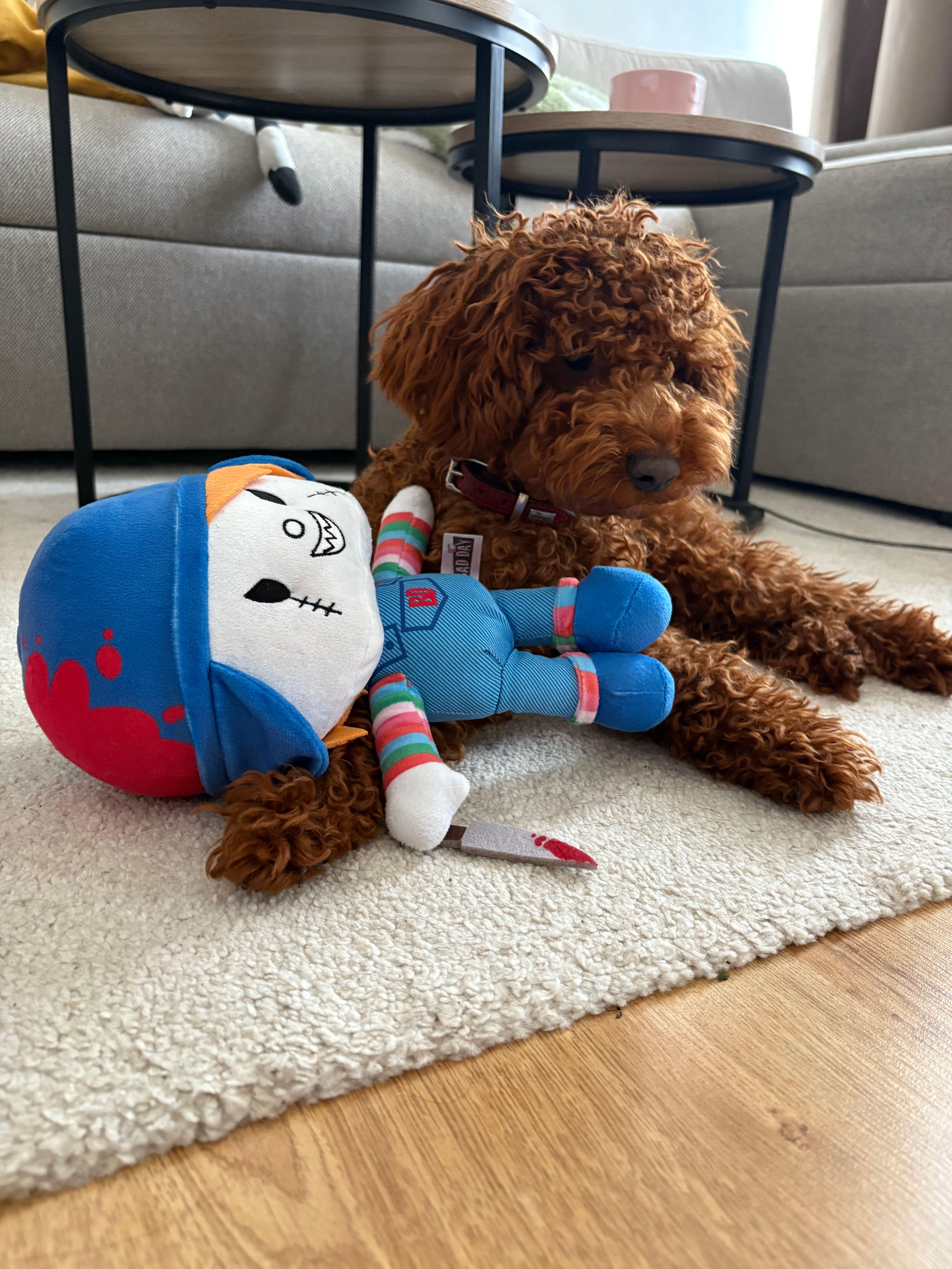 image-9