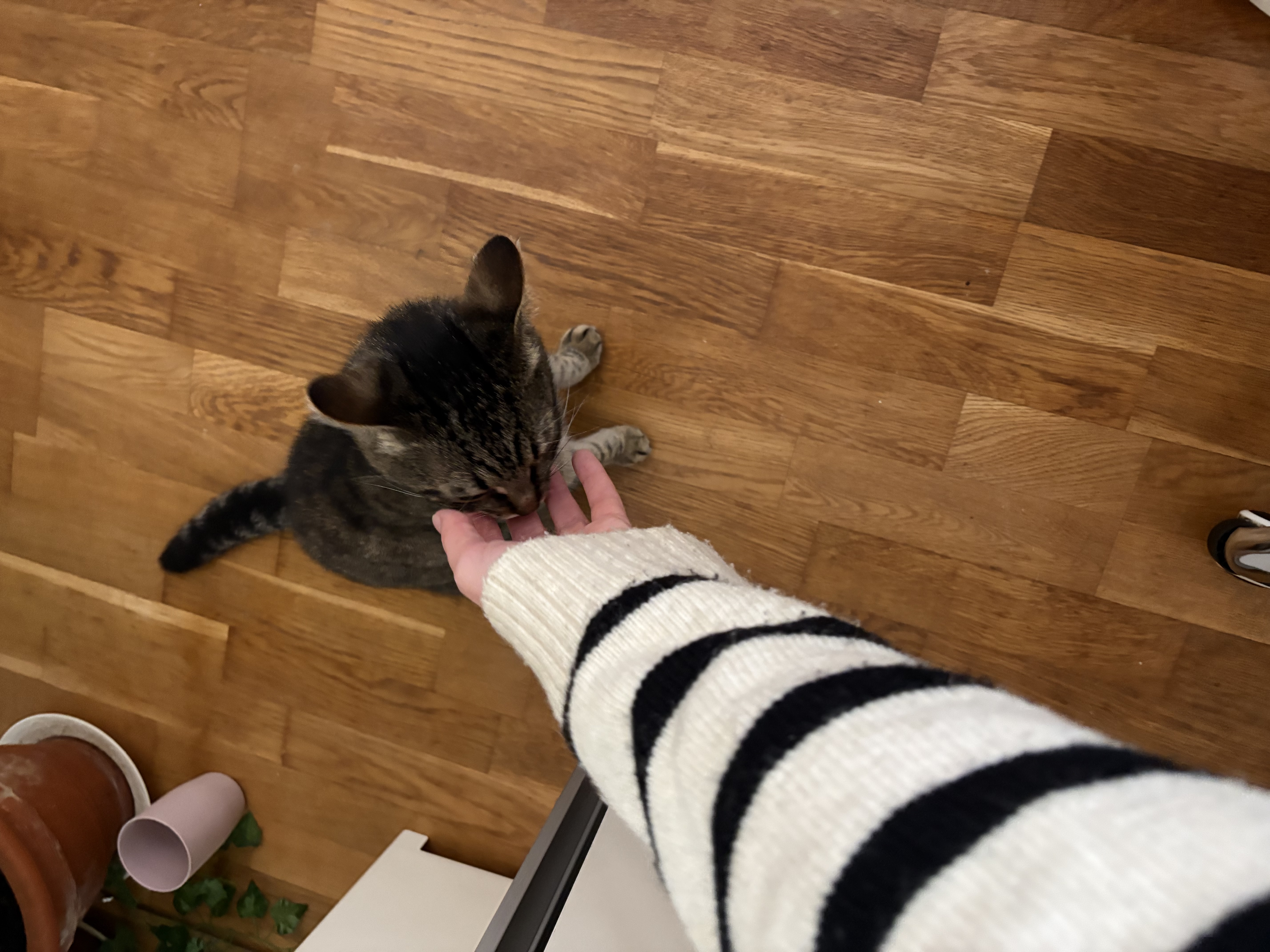 image-10
