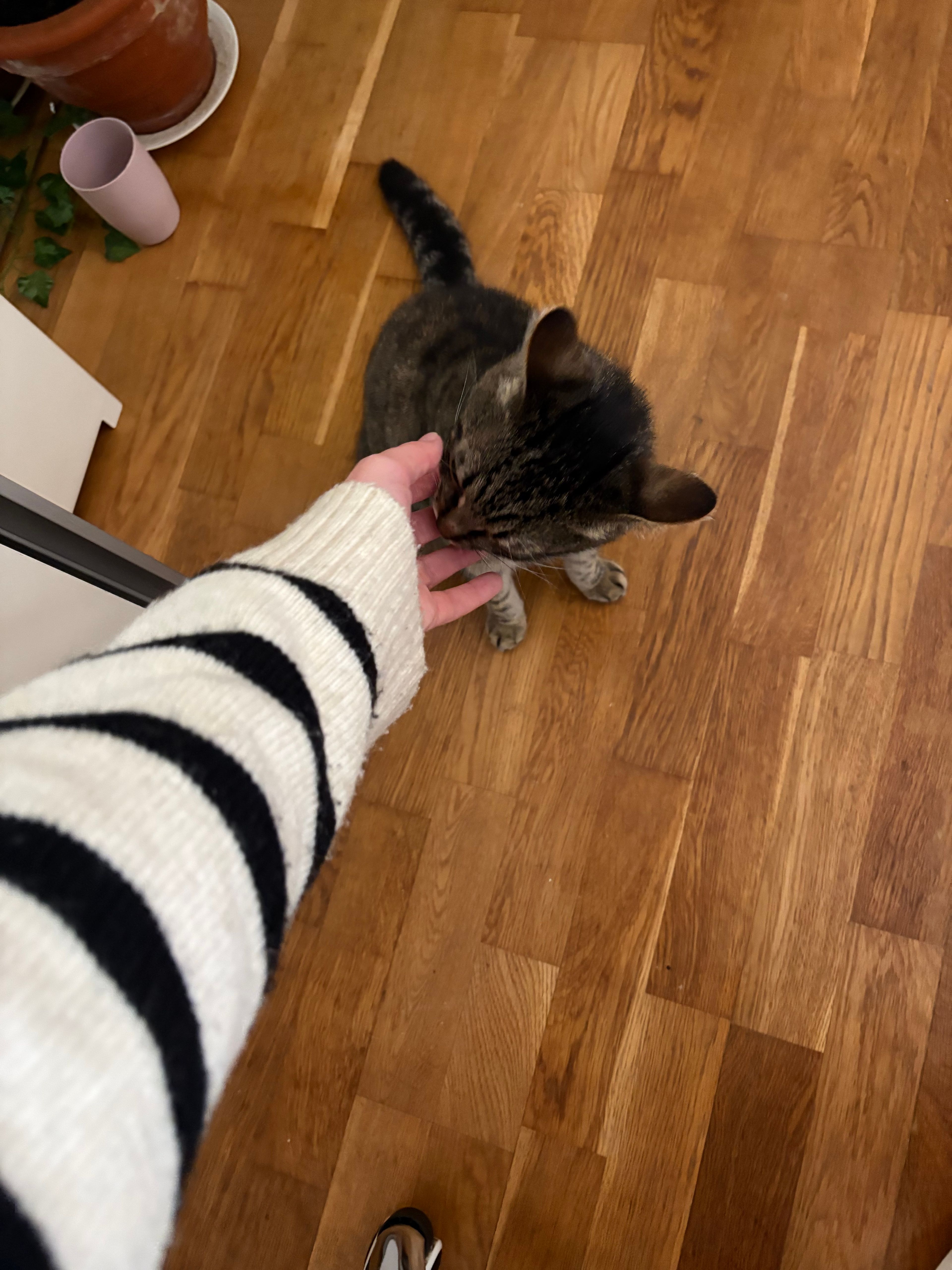 image-10