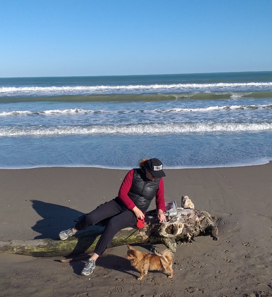 image-3