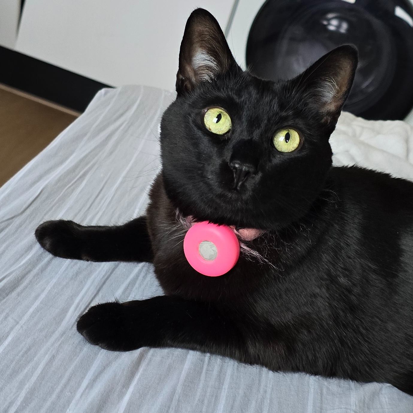 Filomena