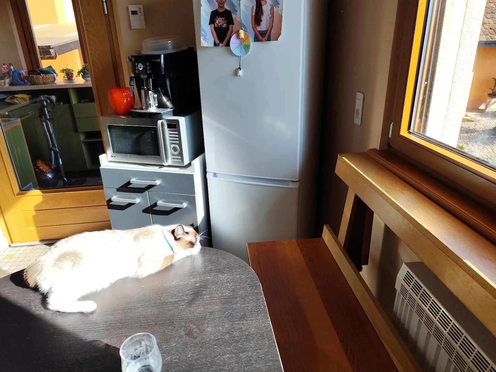 image-8