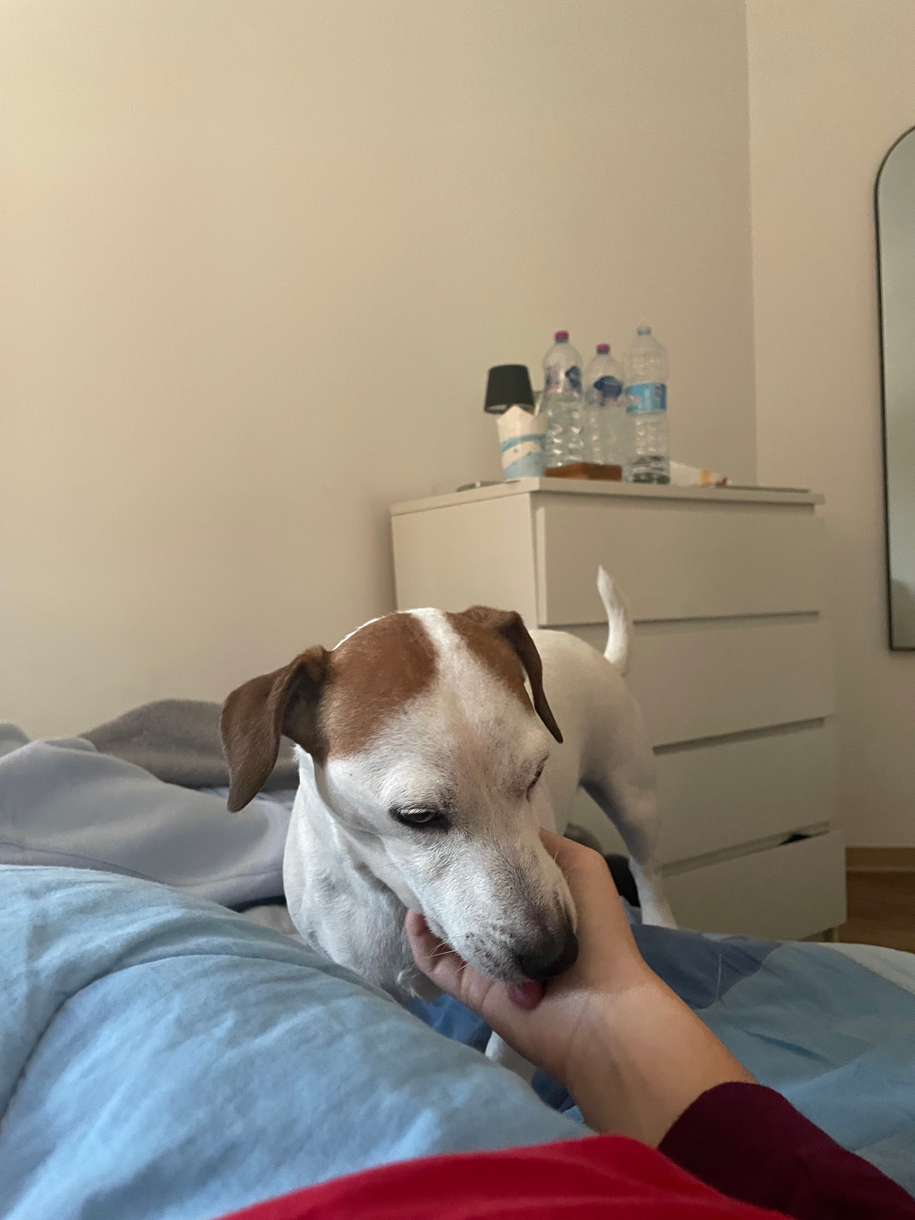 image-9