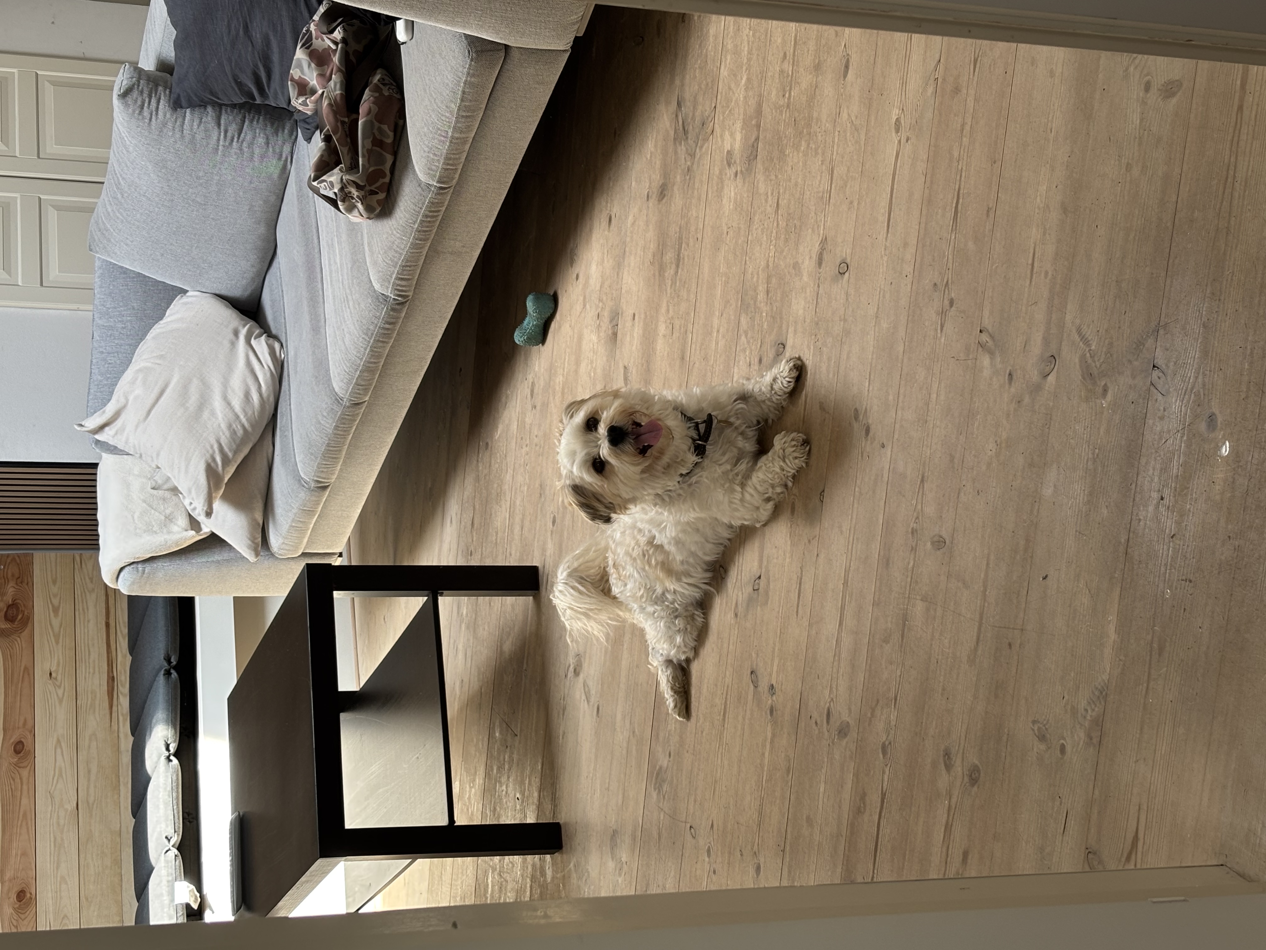 image-18