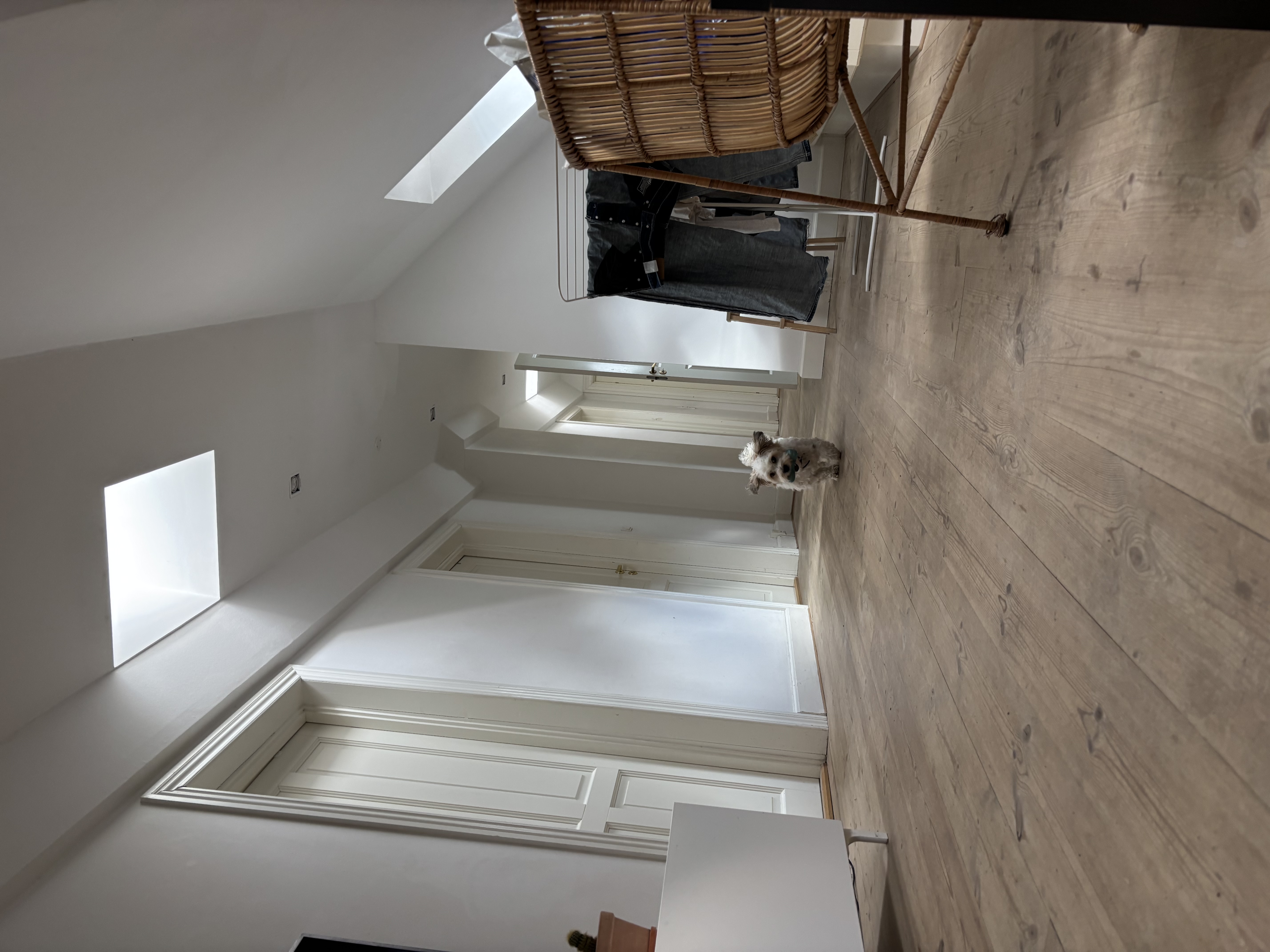 image-16