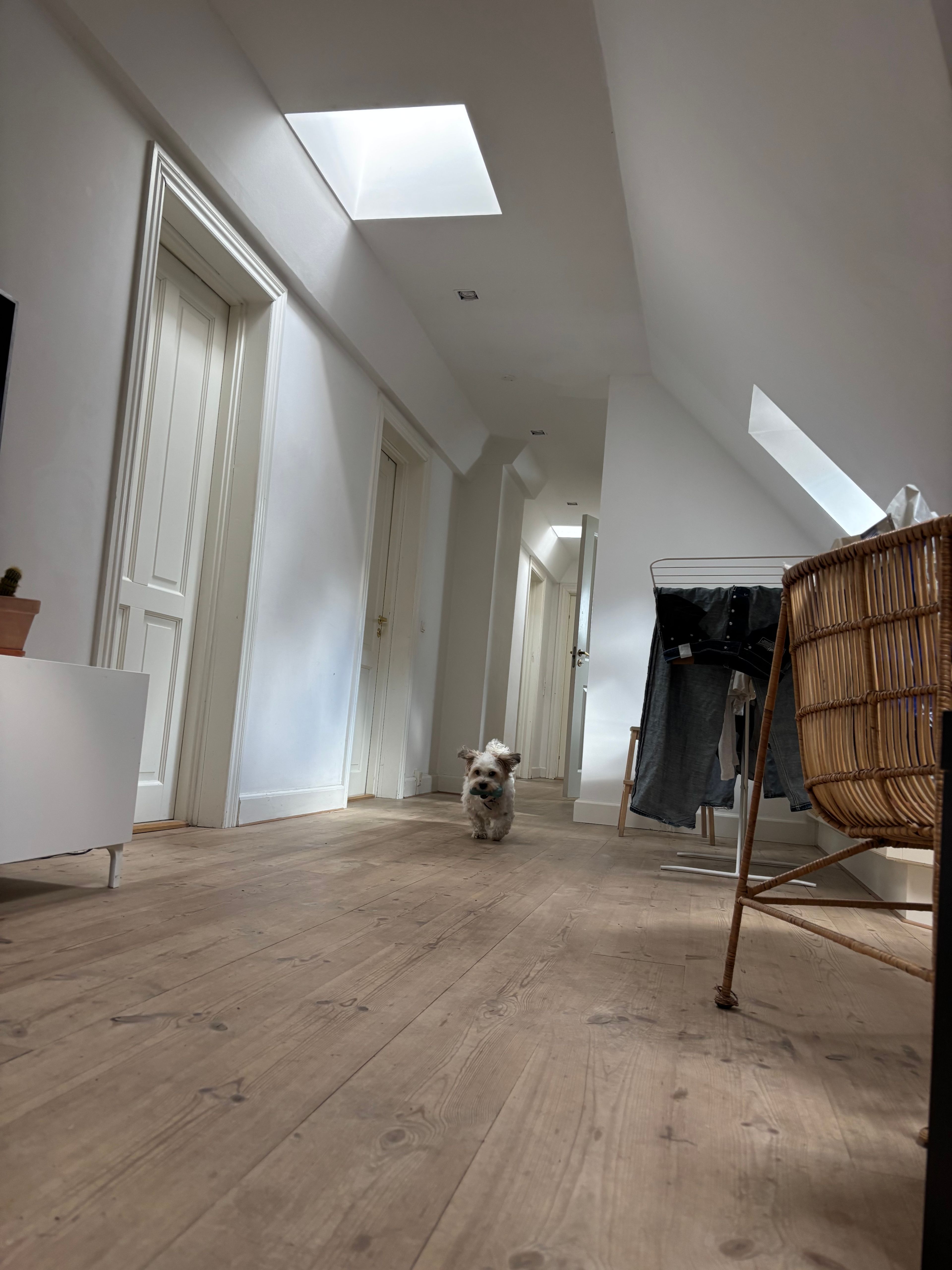 image-16