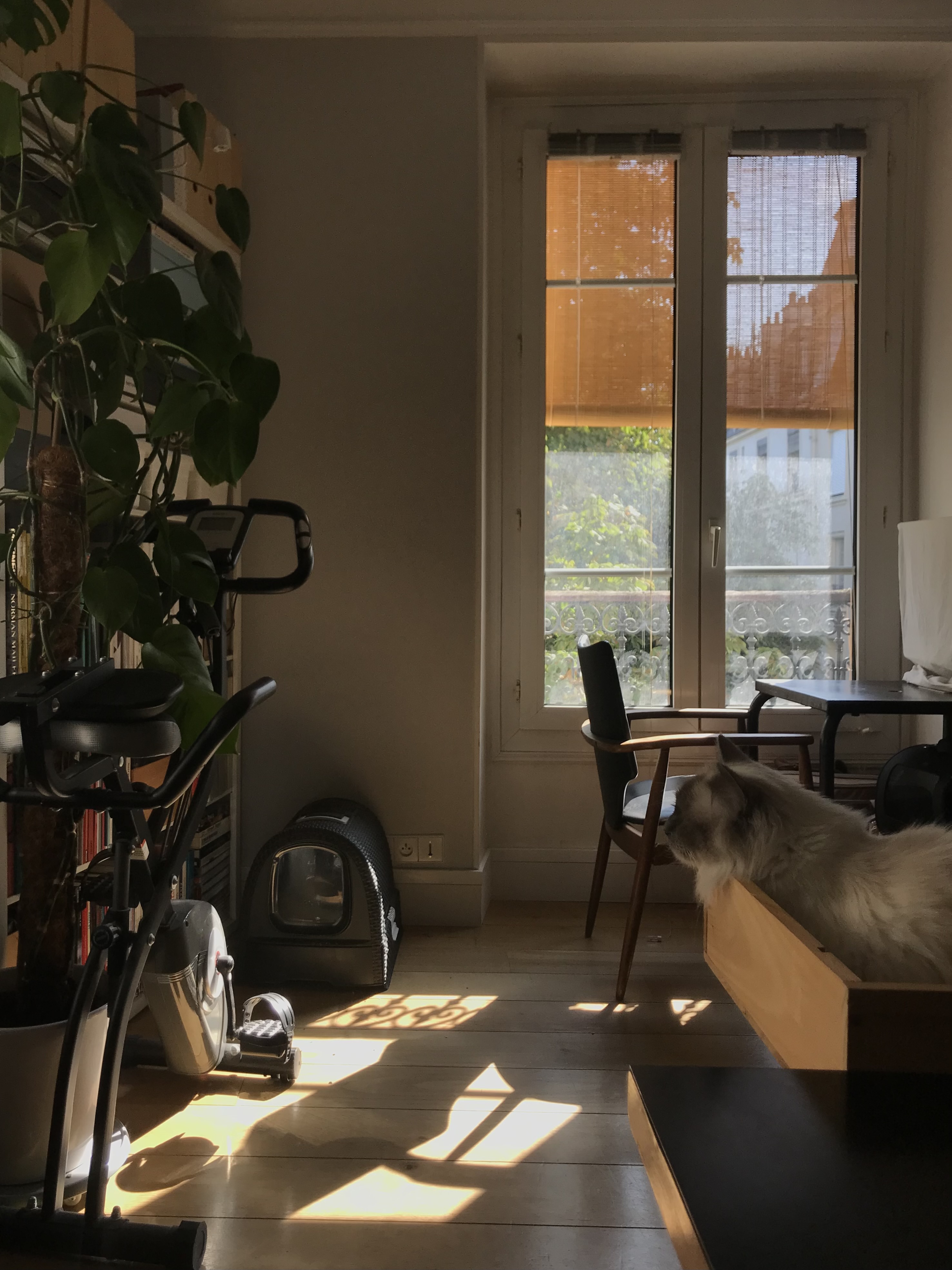image-17