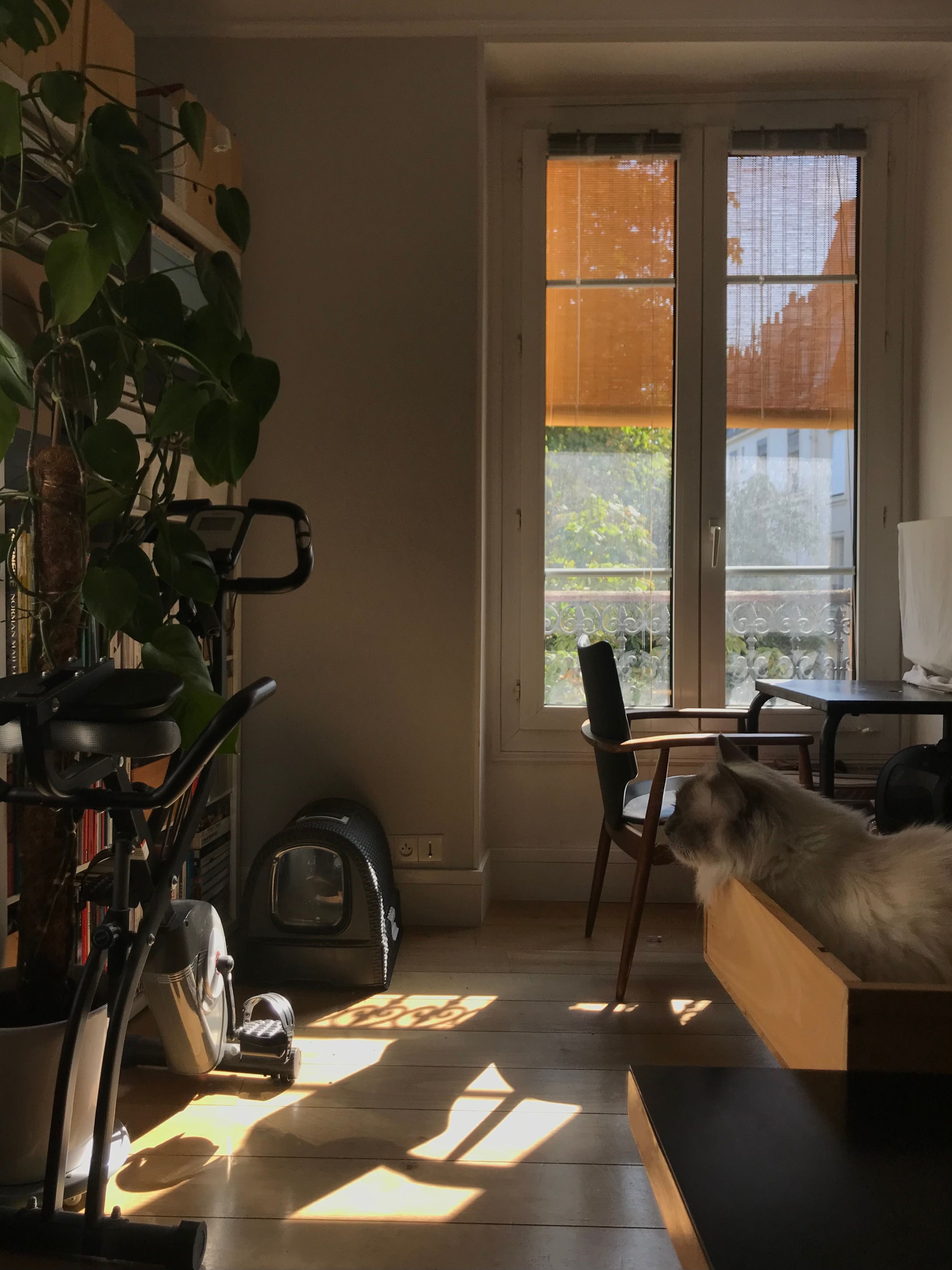 image-17