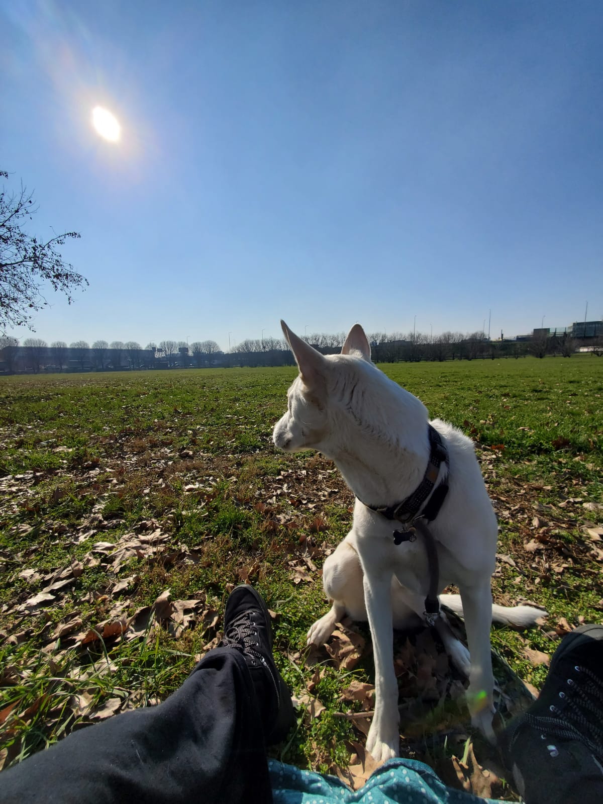 image-7