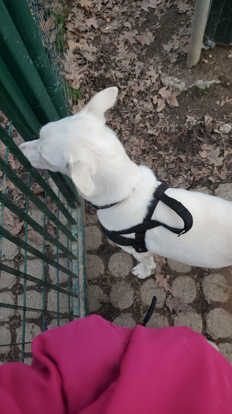 image-8