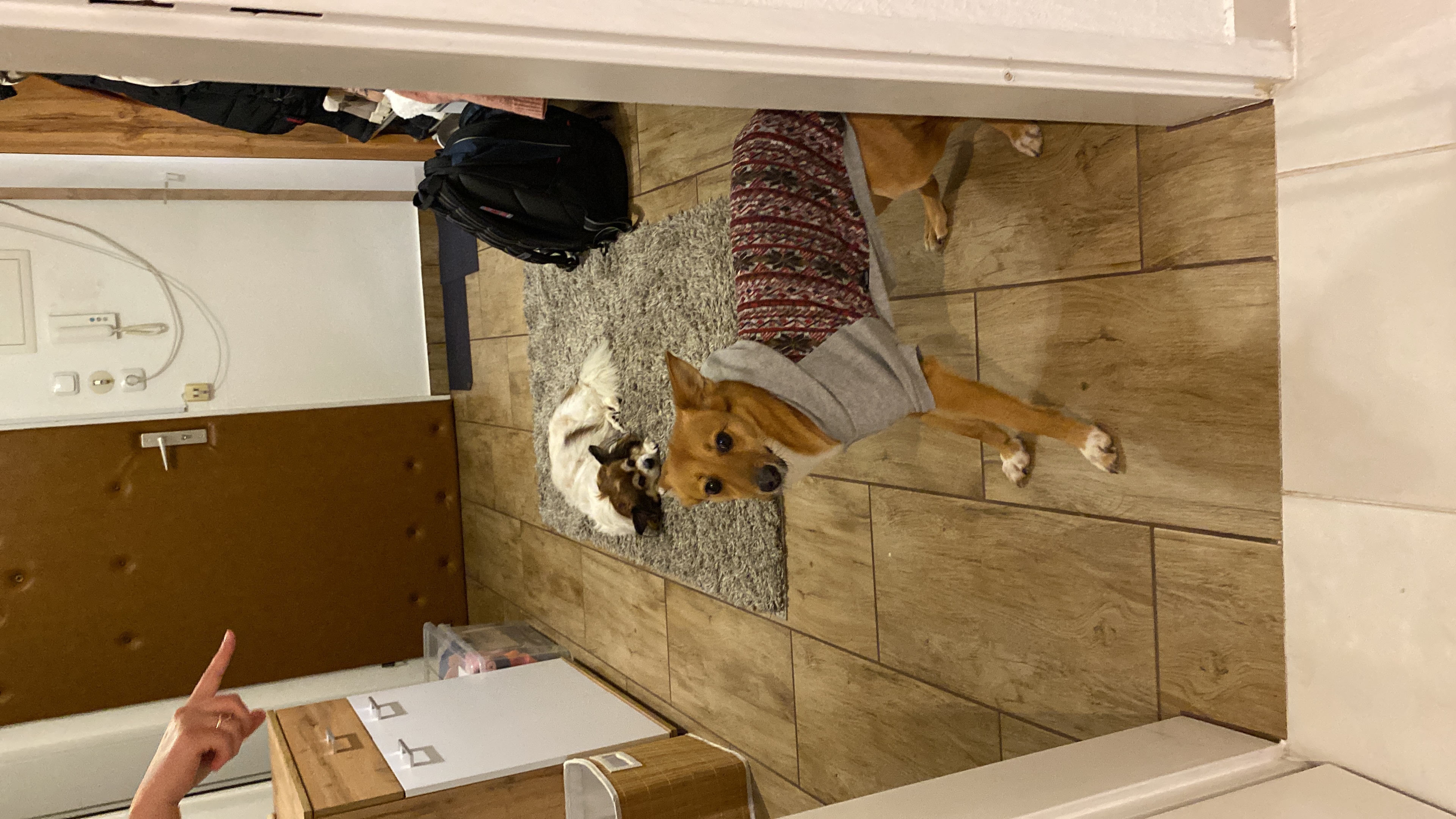 image-6