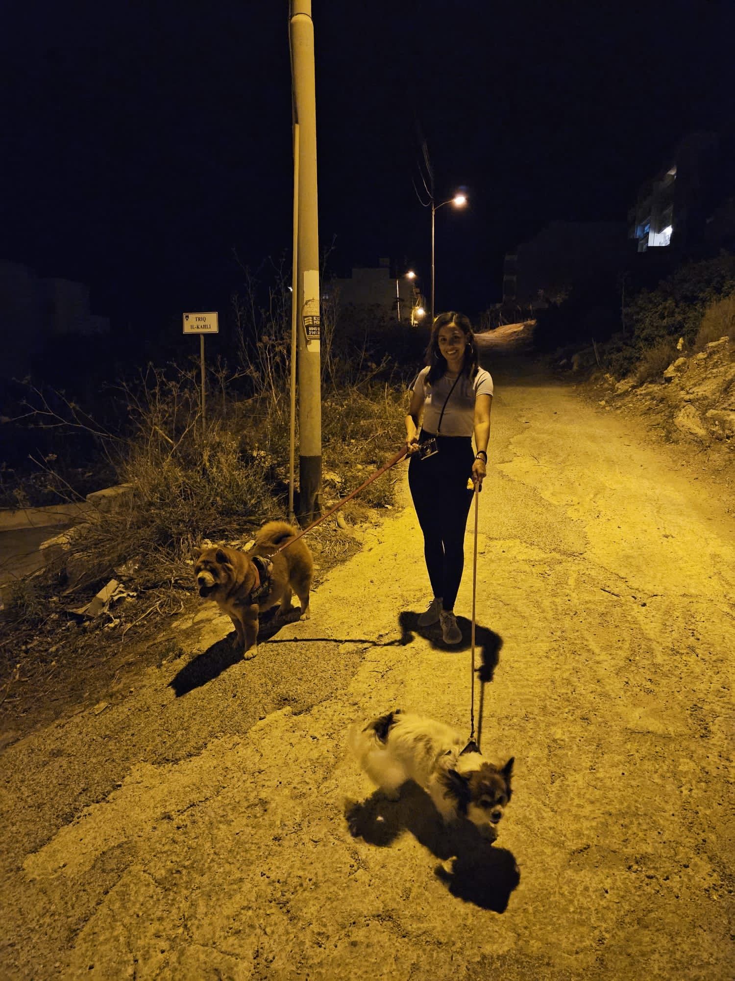 image-7