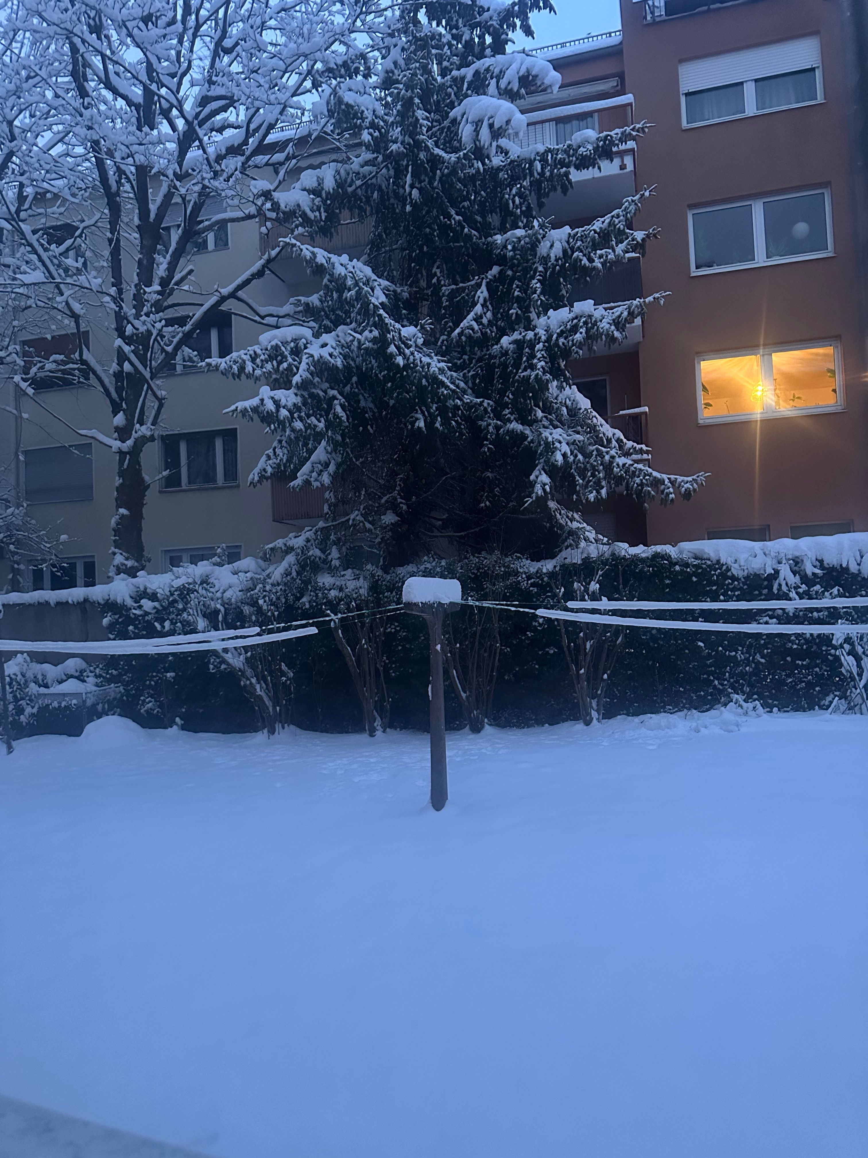 image-20