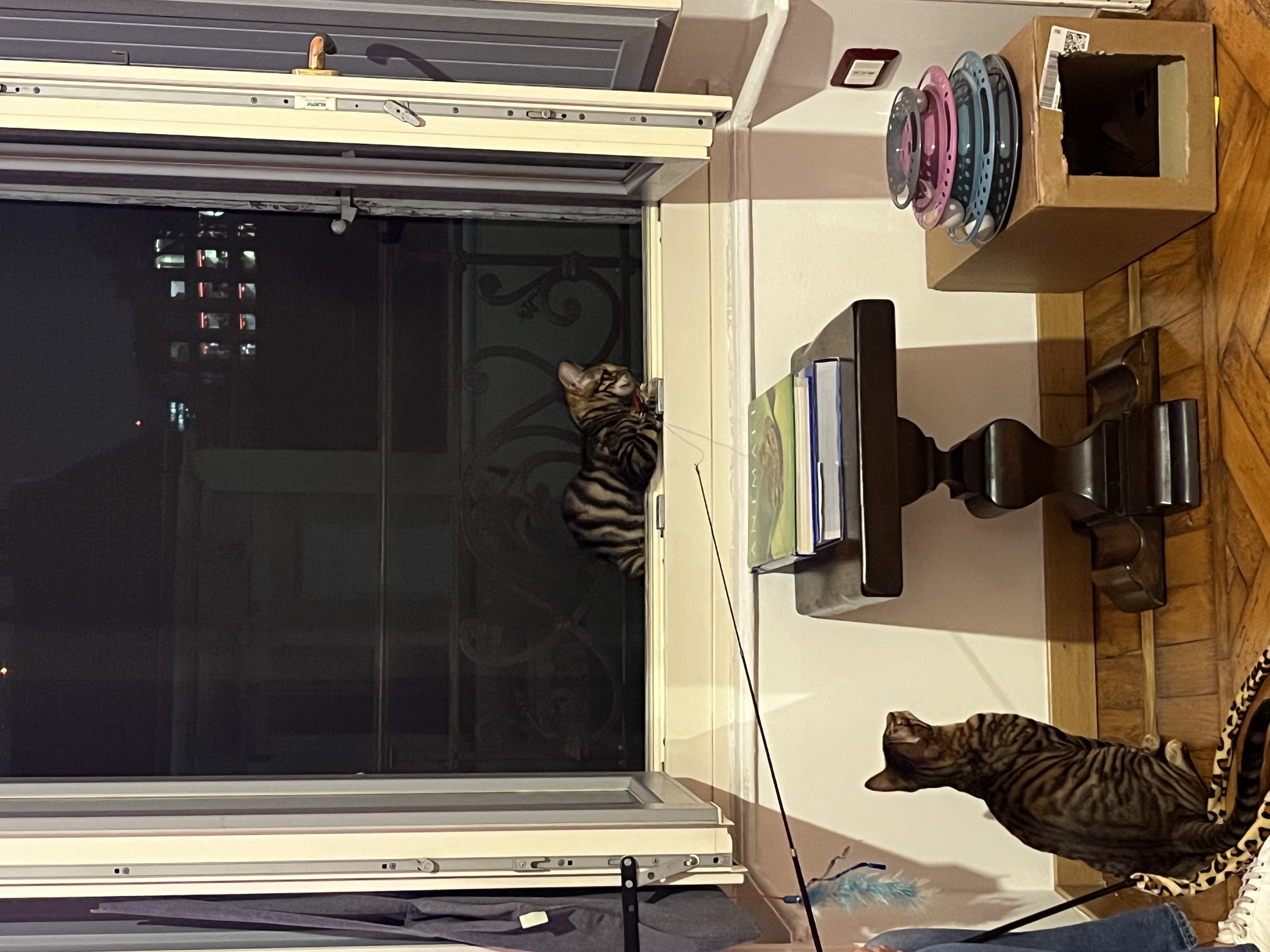 image-9