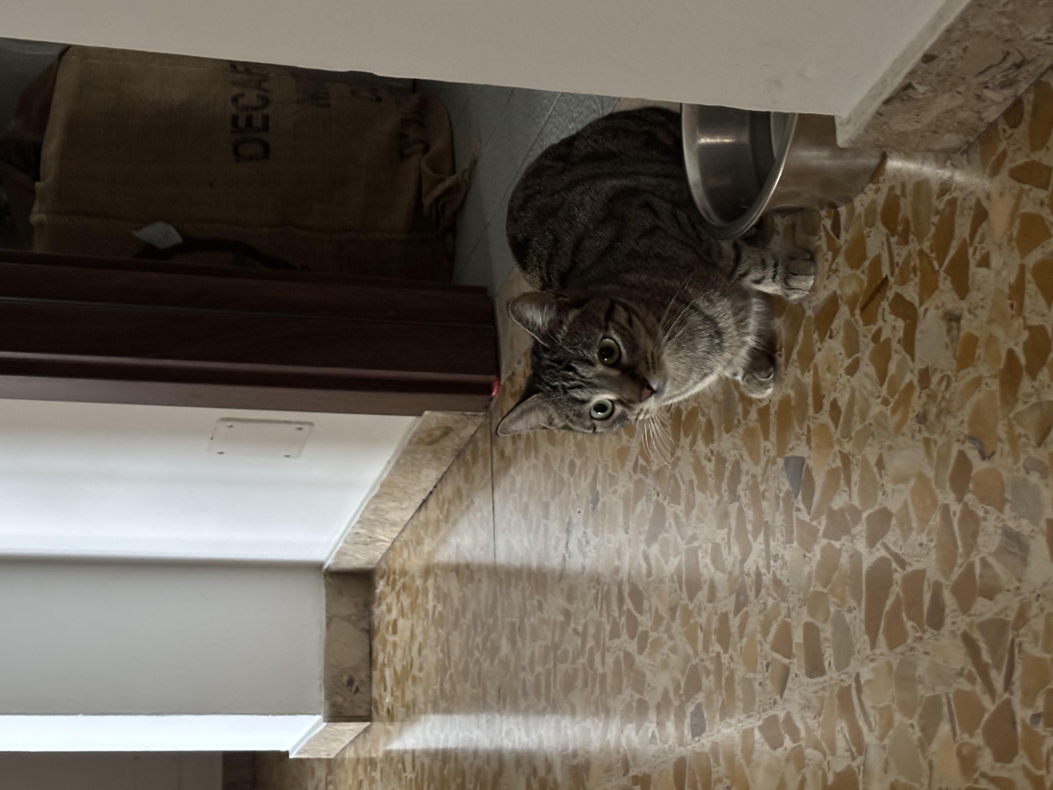 image-10