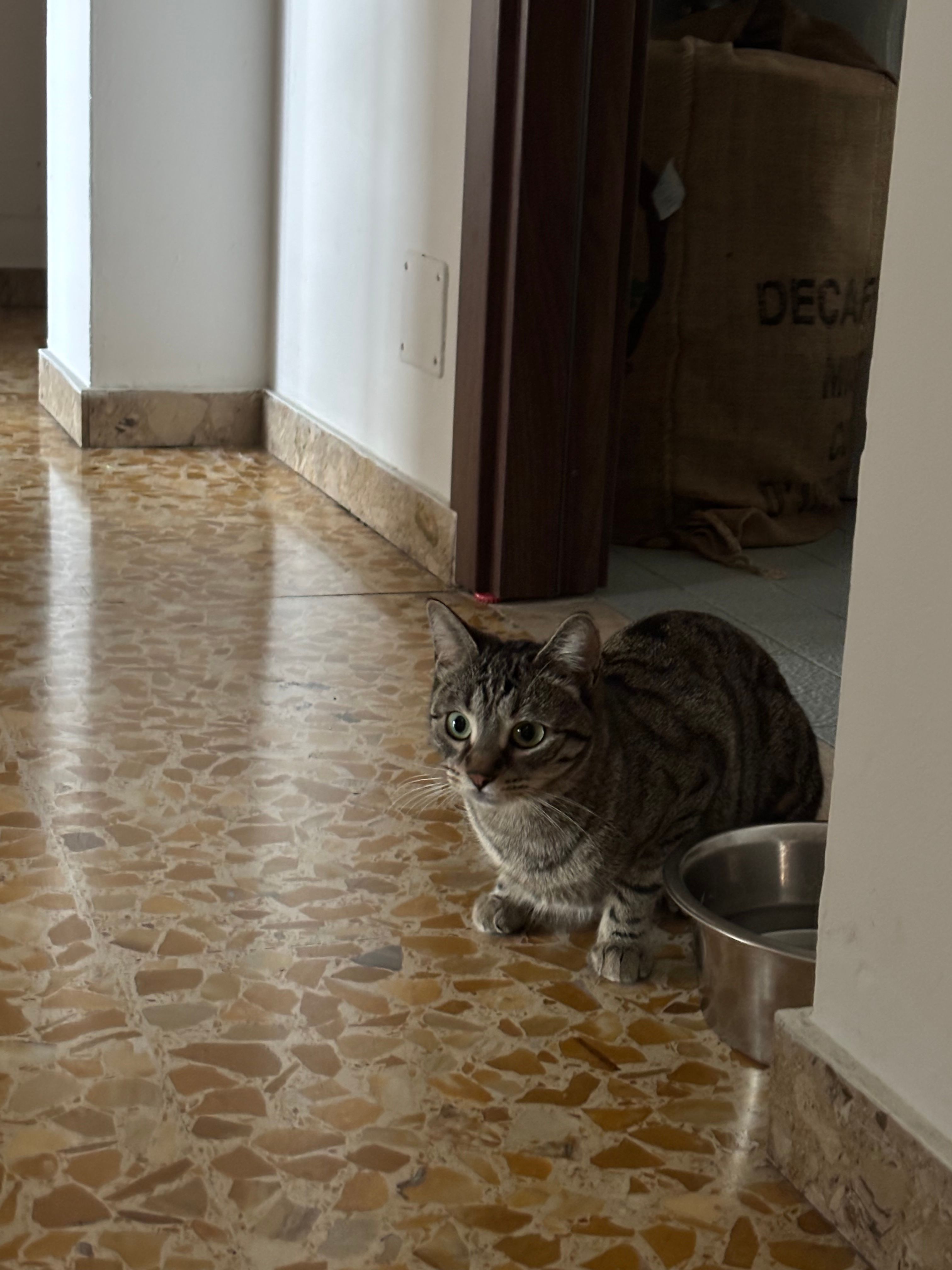 image-10