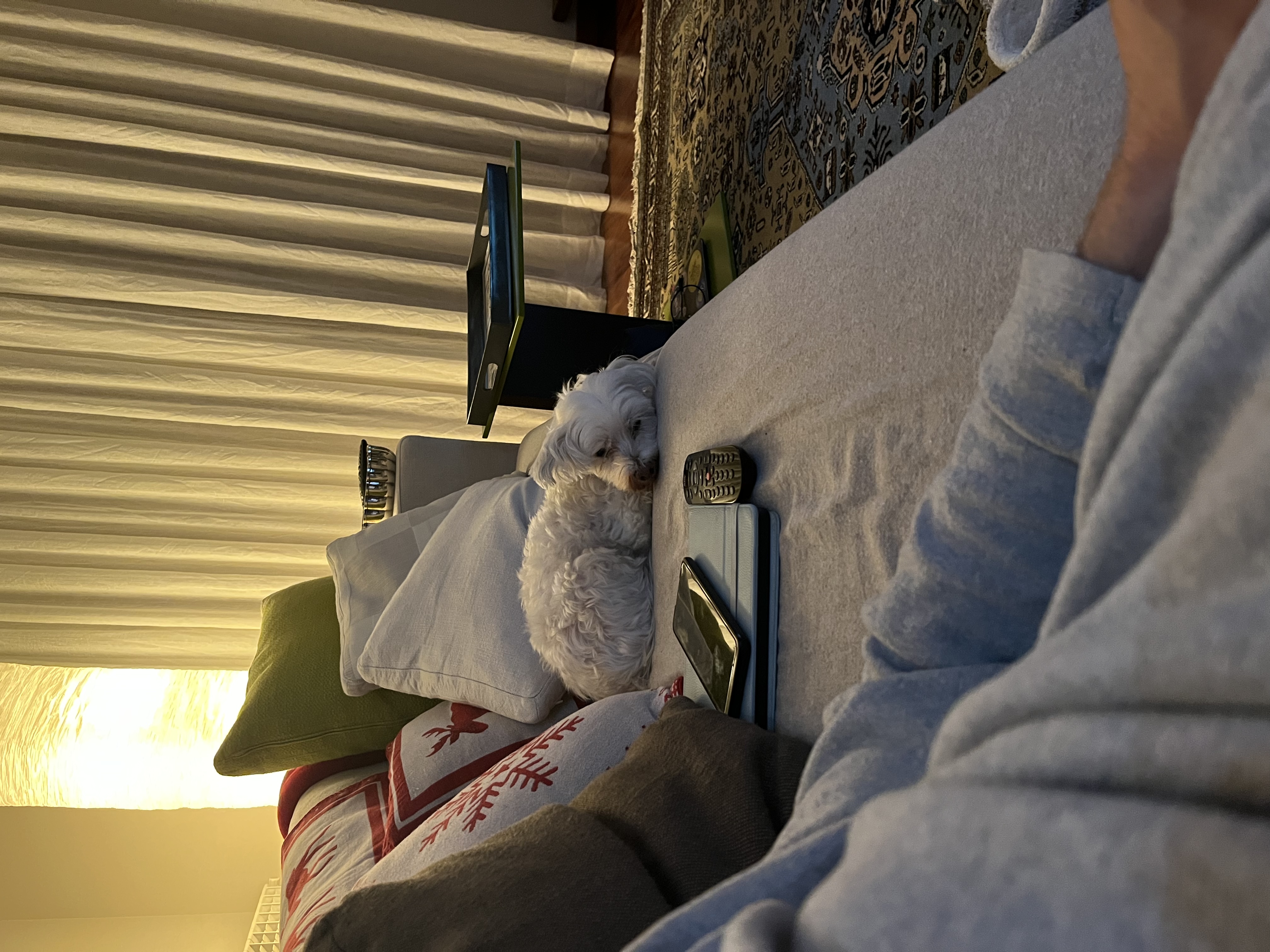 image-11