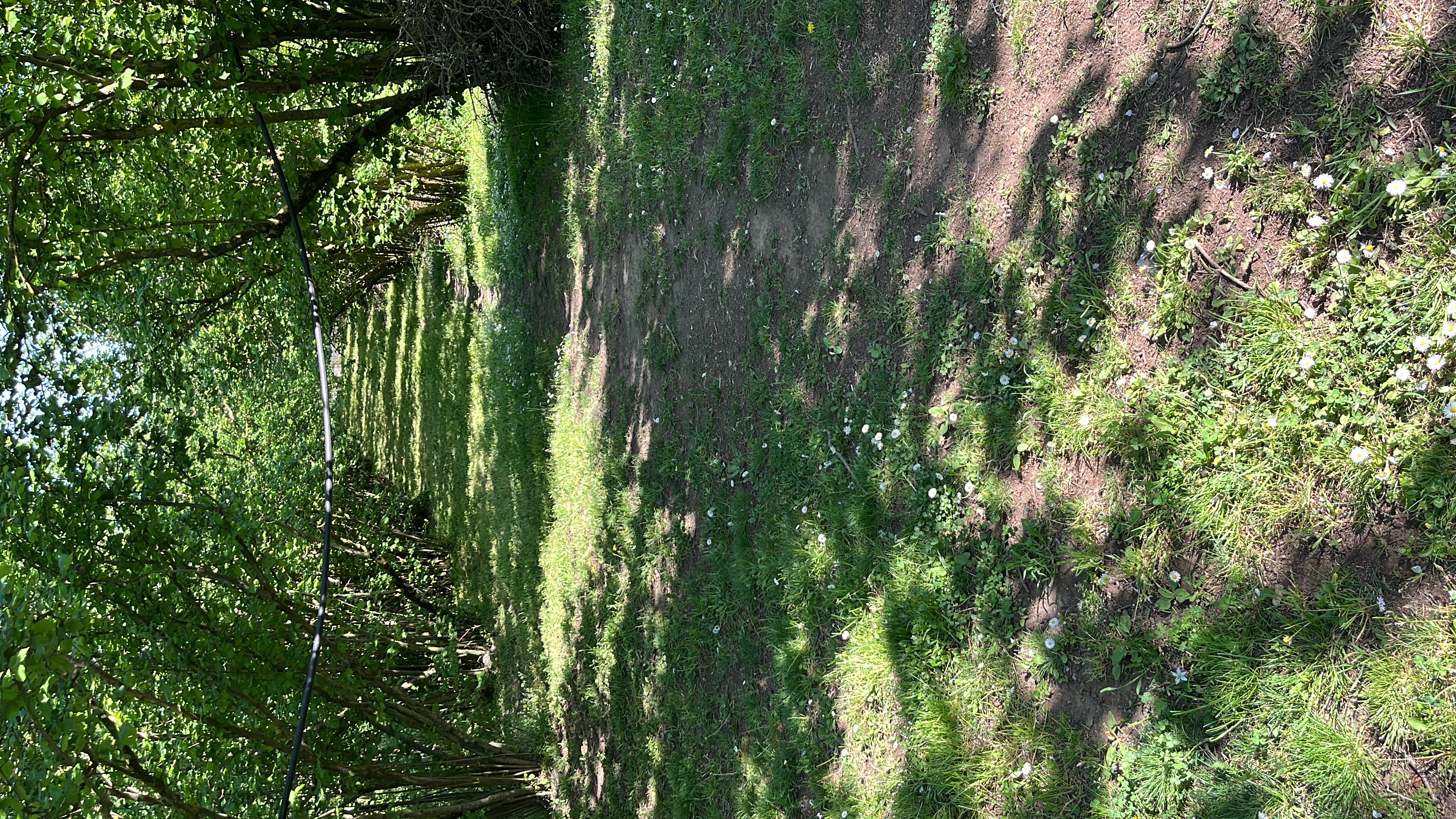 image-14