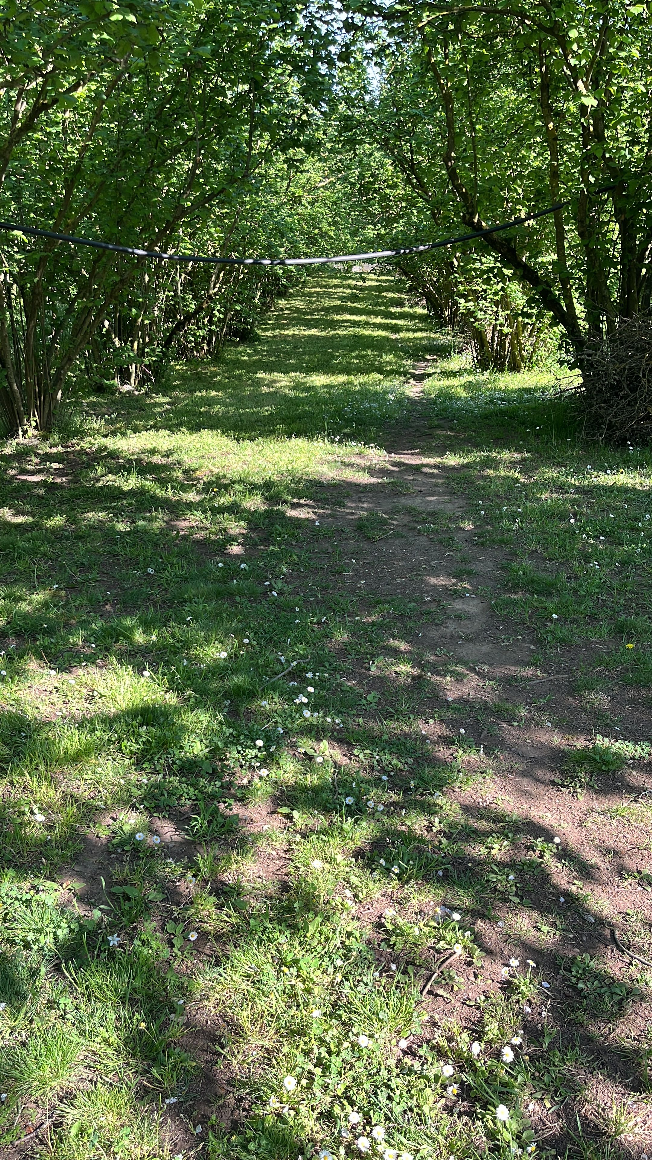 image-14
