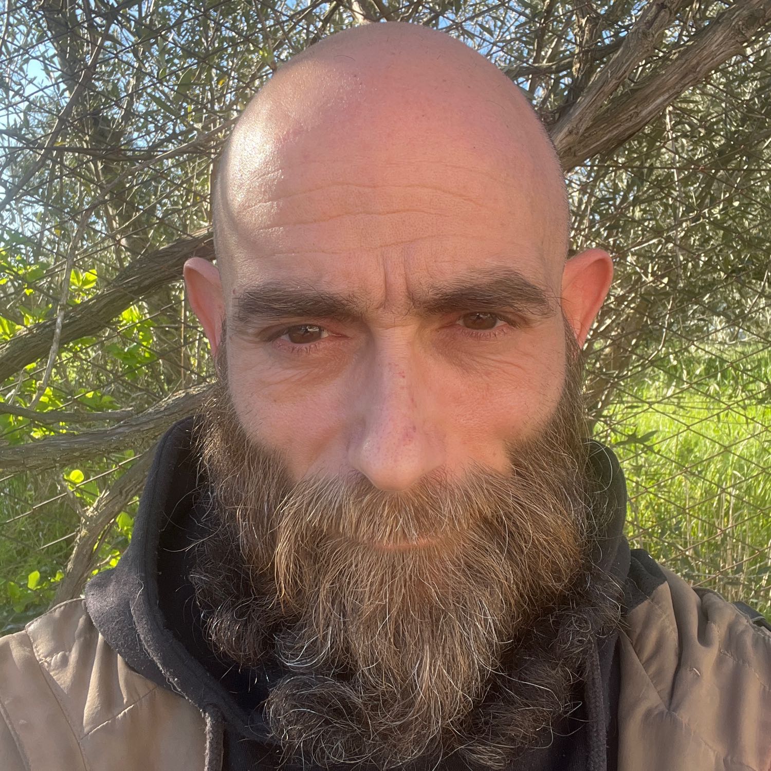Stefano