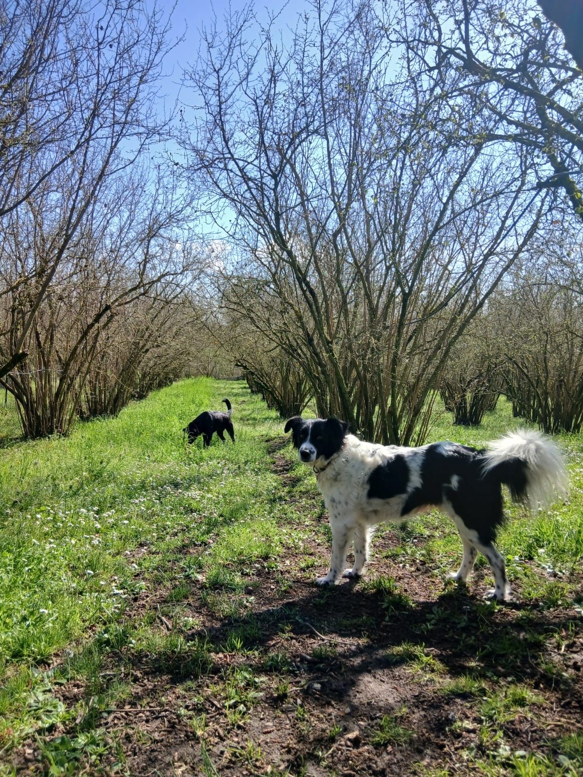 image-9