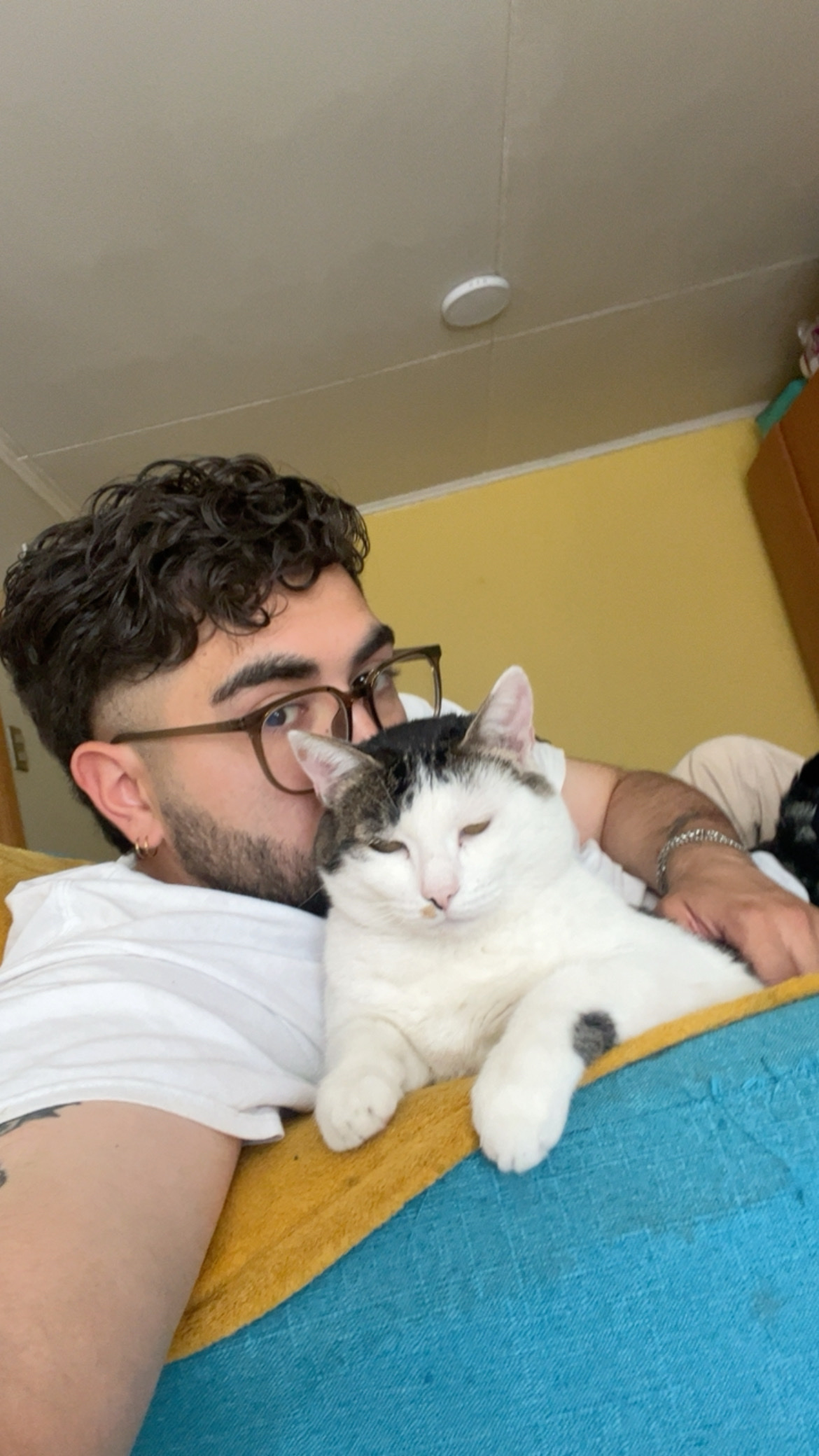 image-6