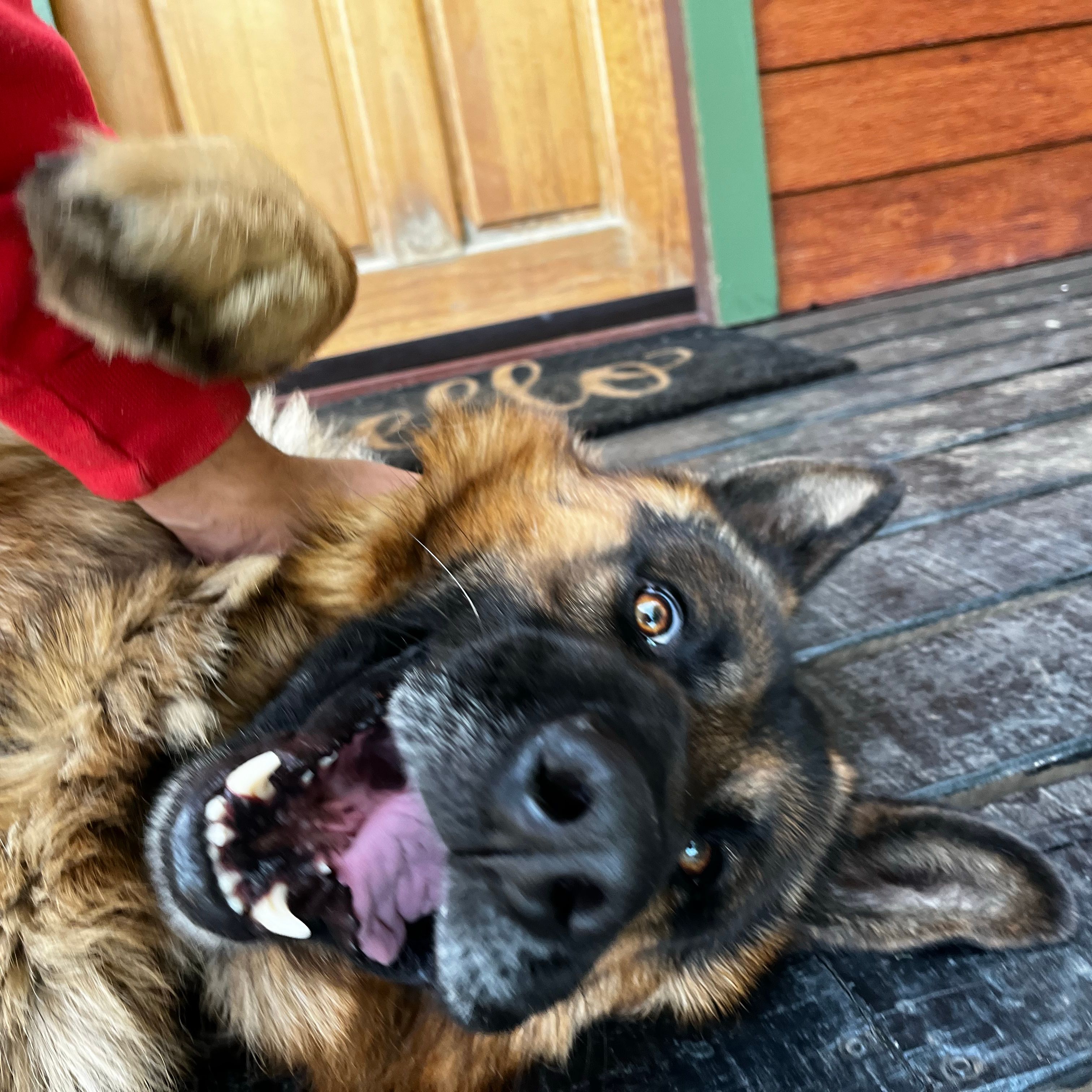 Kaiser