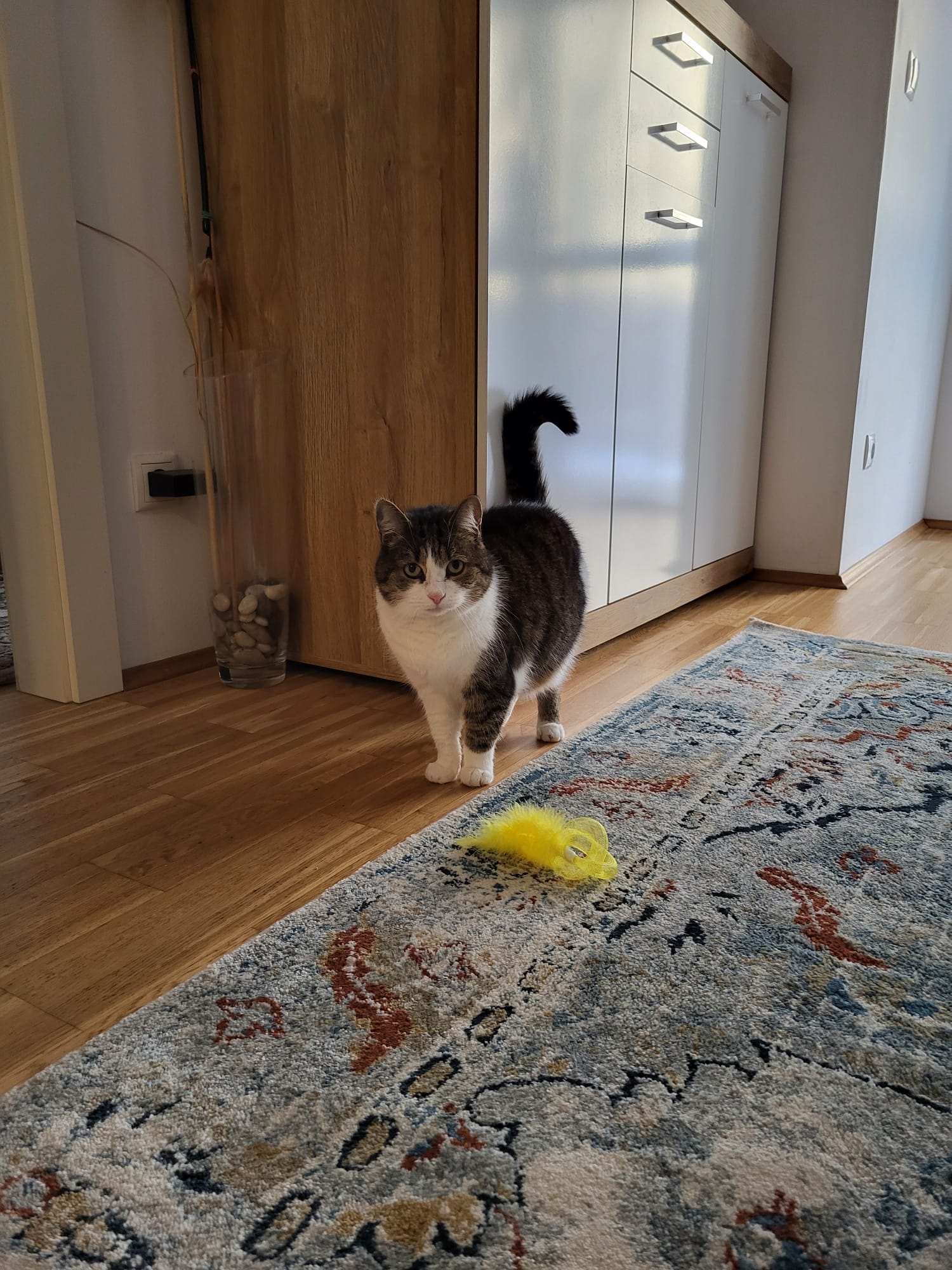 image-6
