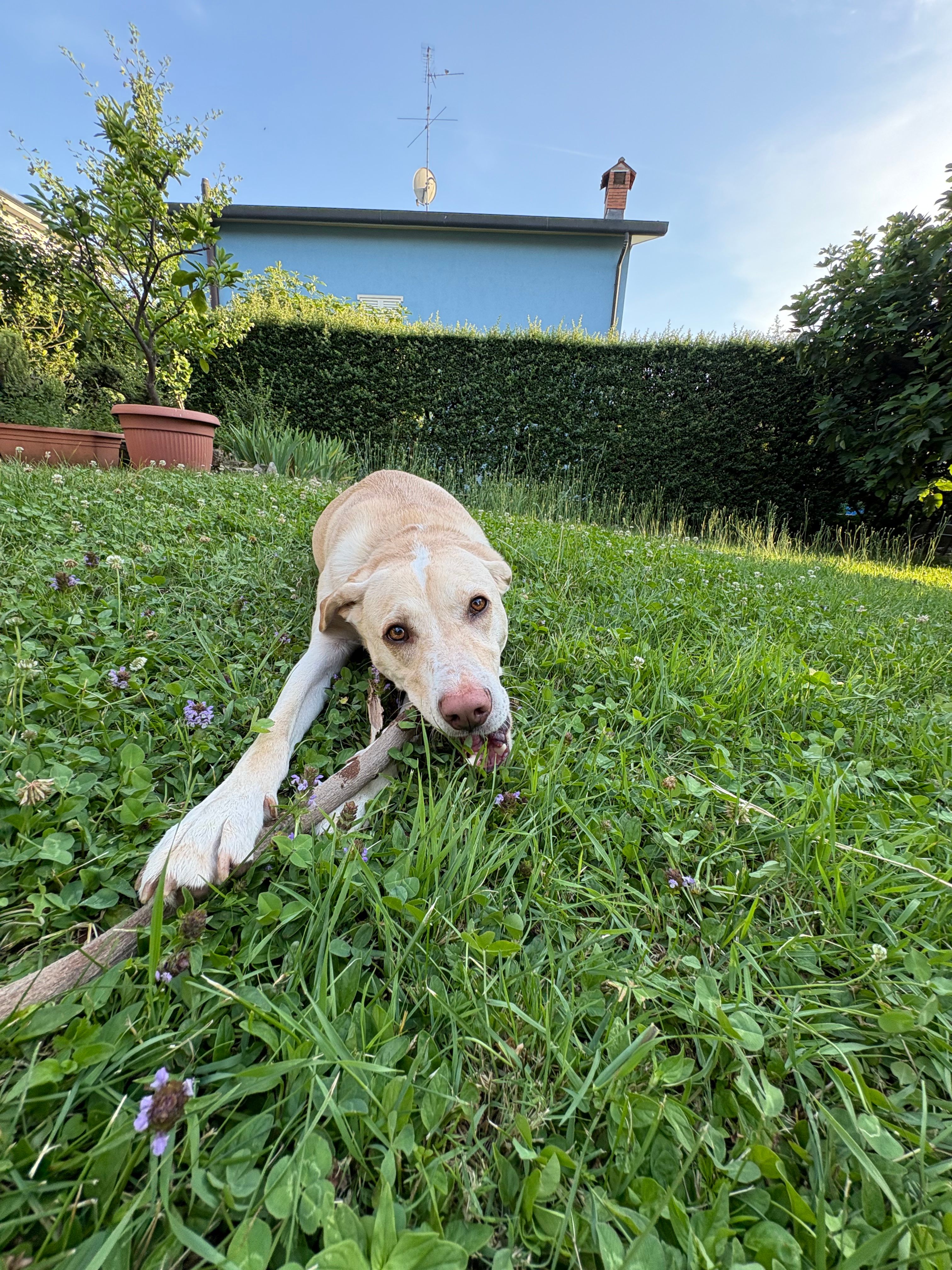 image-10
