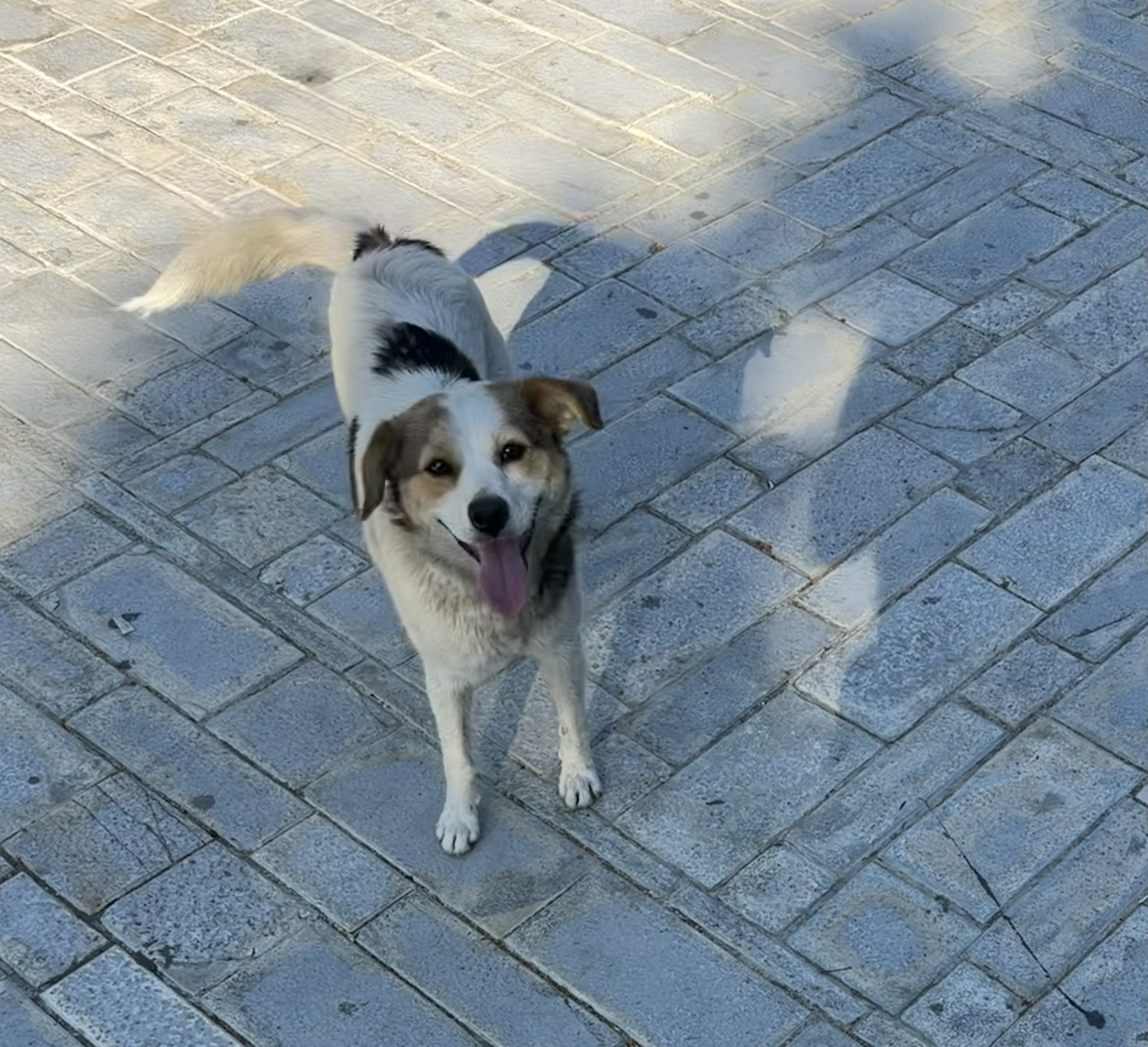 image-8