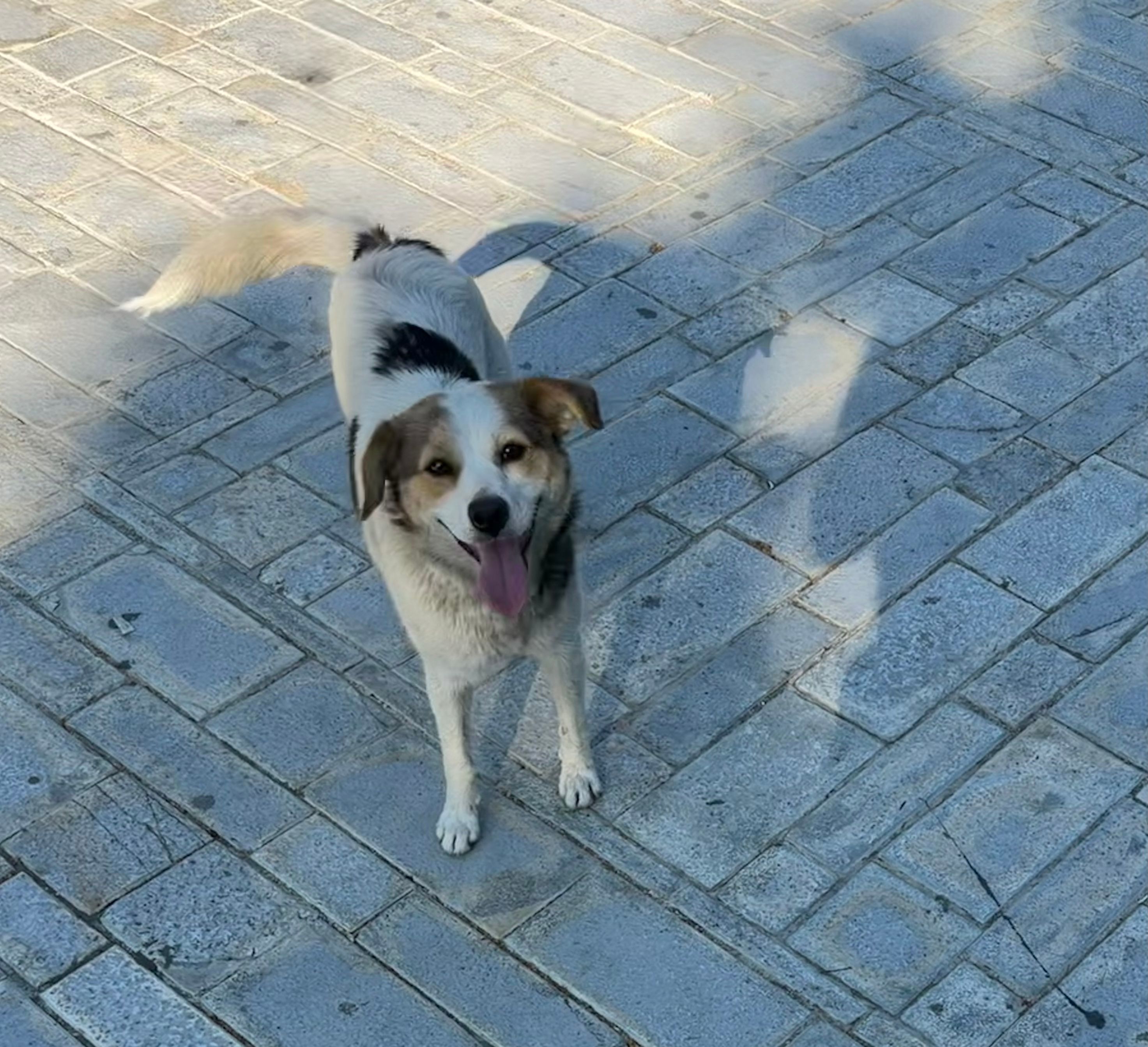 image-8