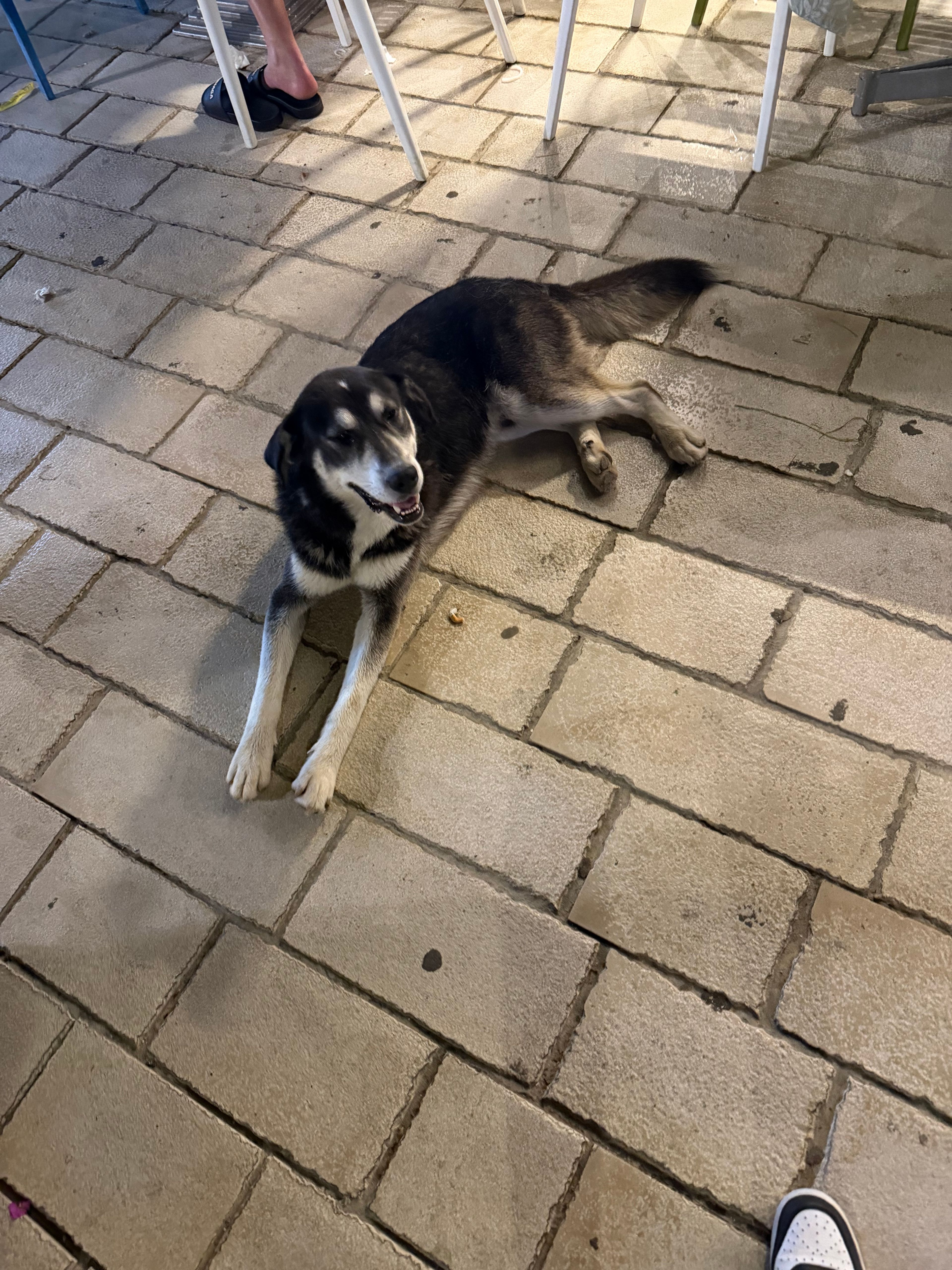 image-11