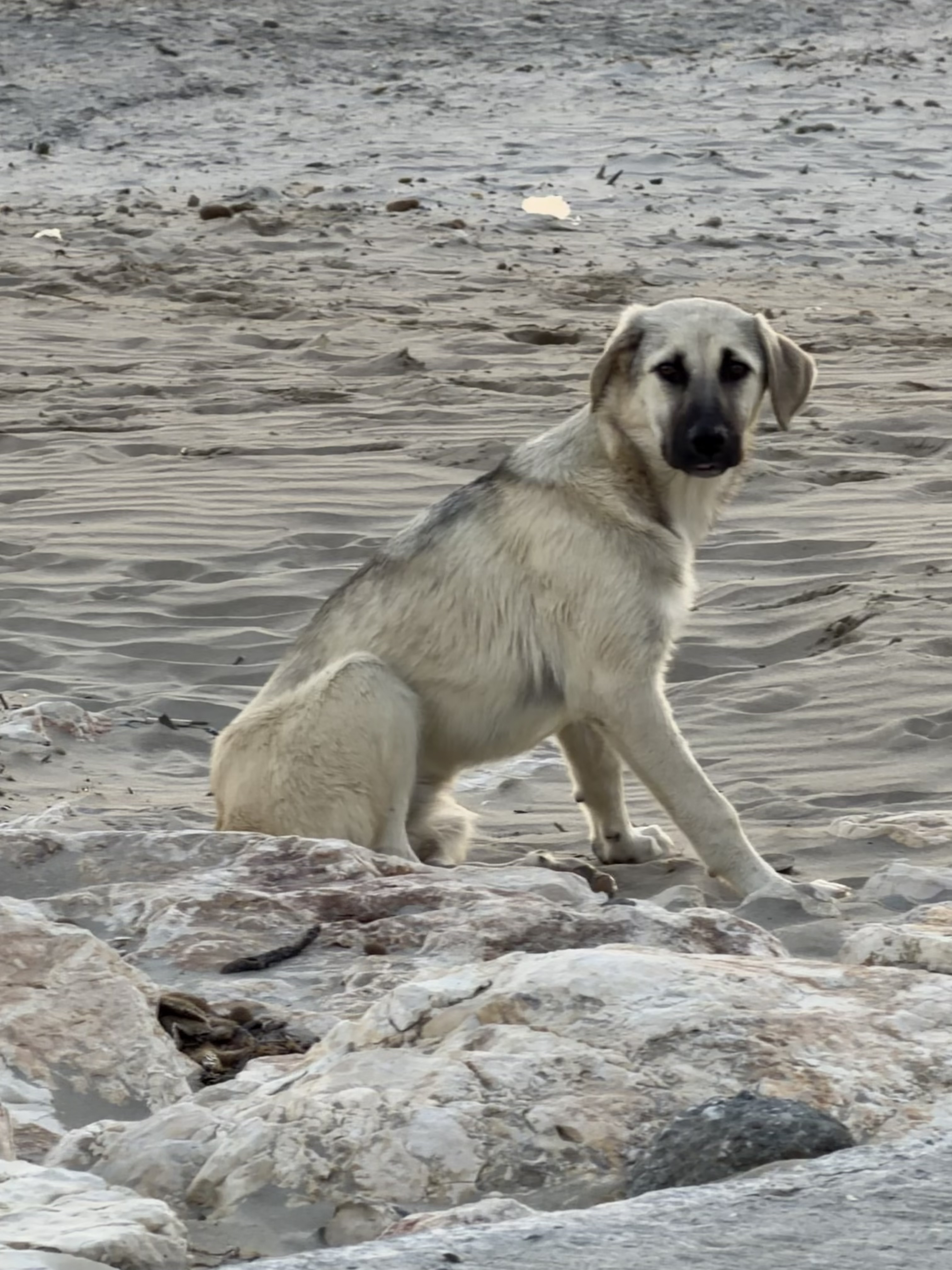 image-9