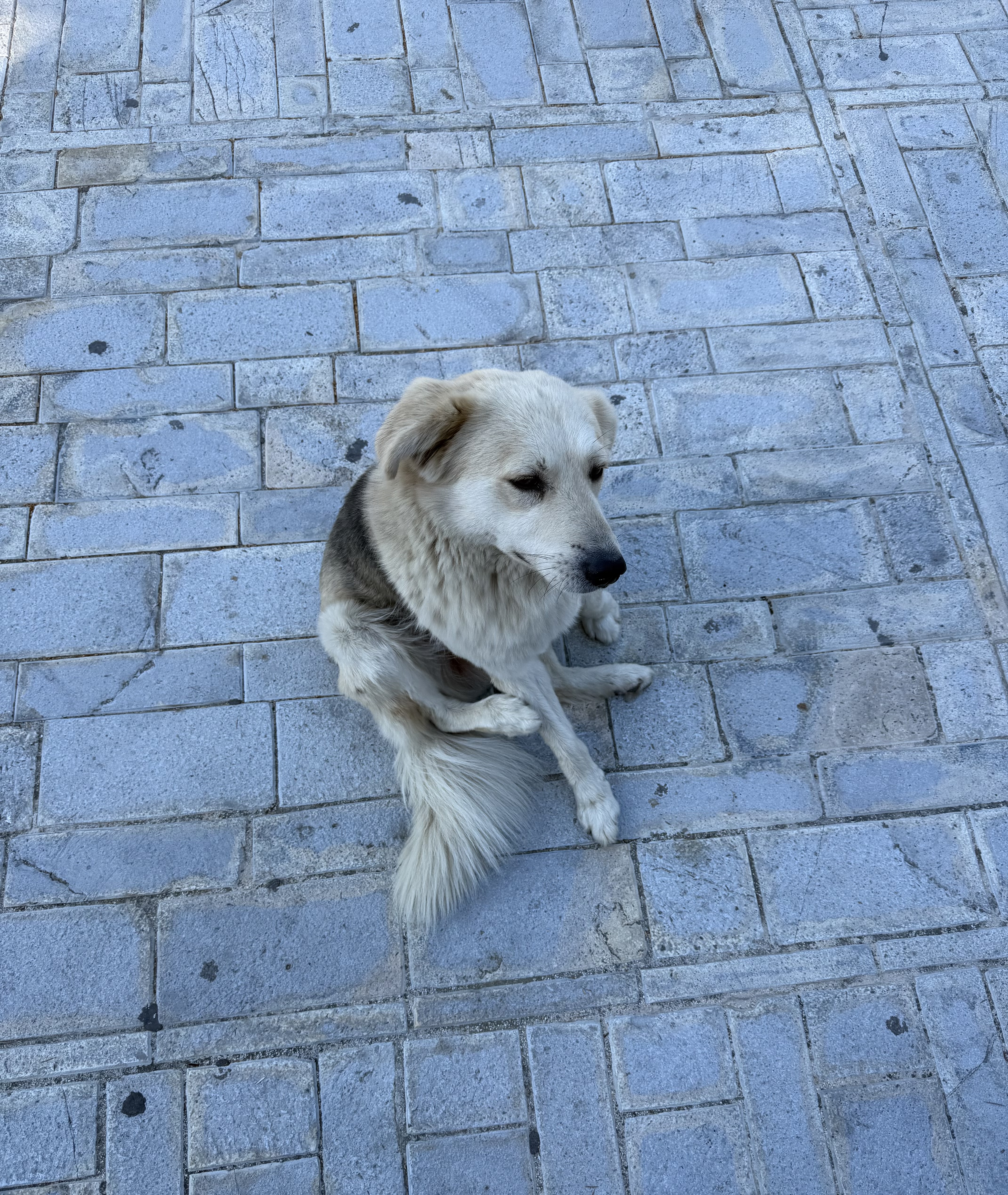 image-10