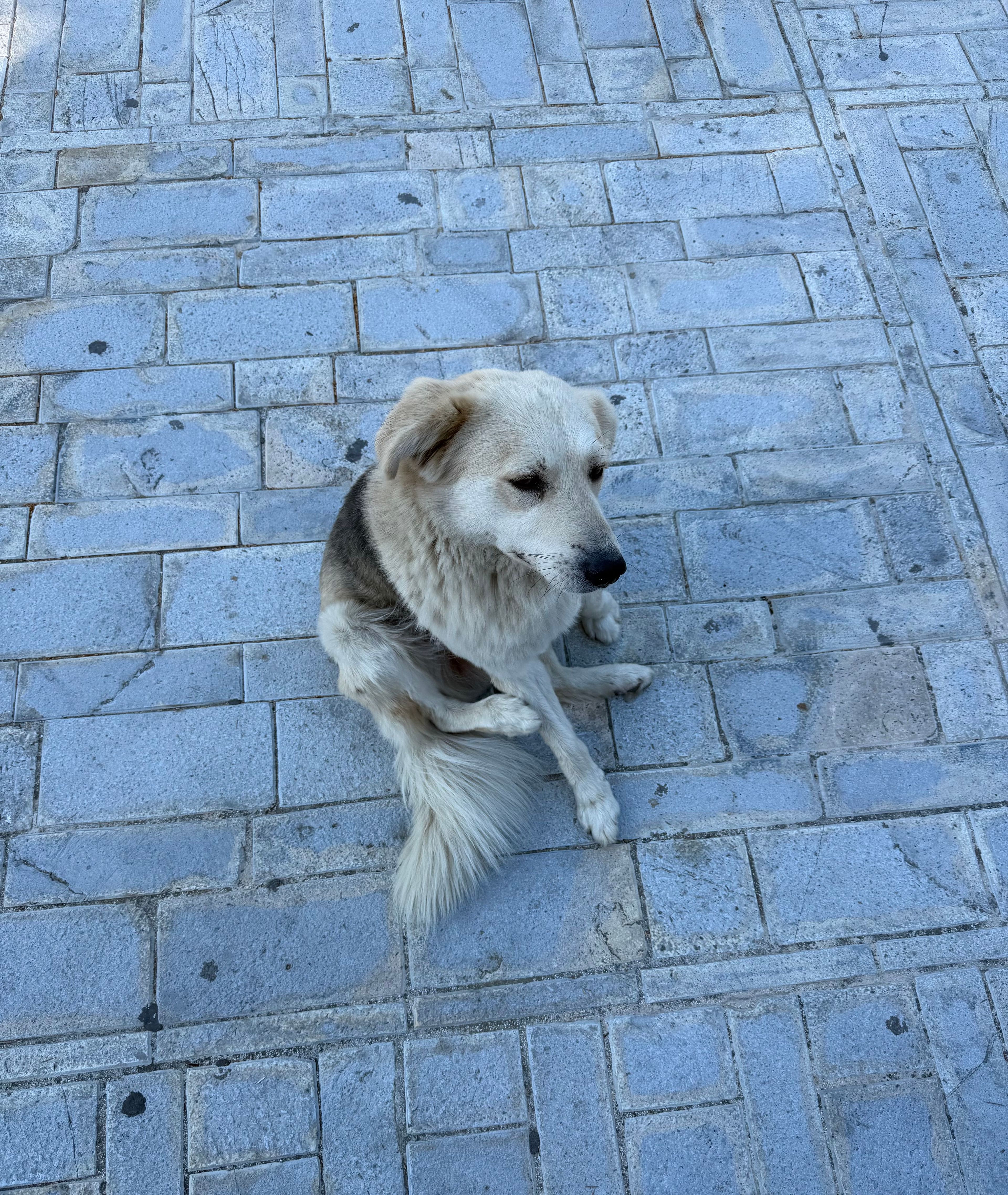 image-10
