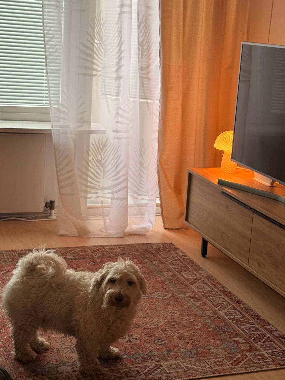 image-5