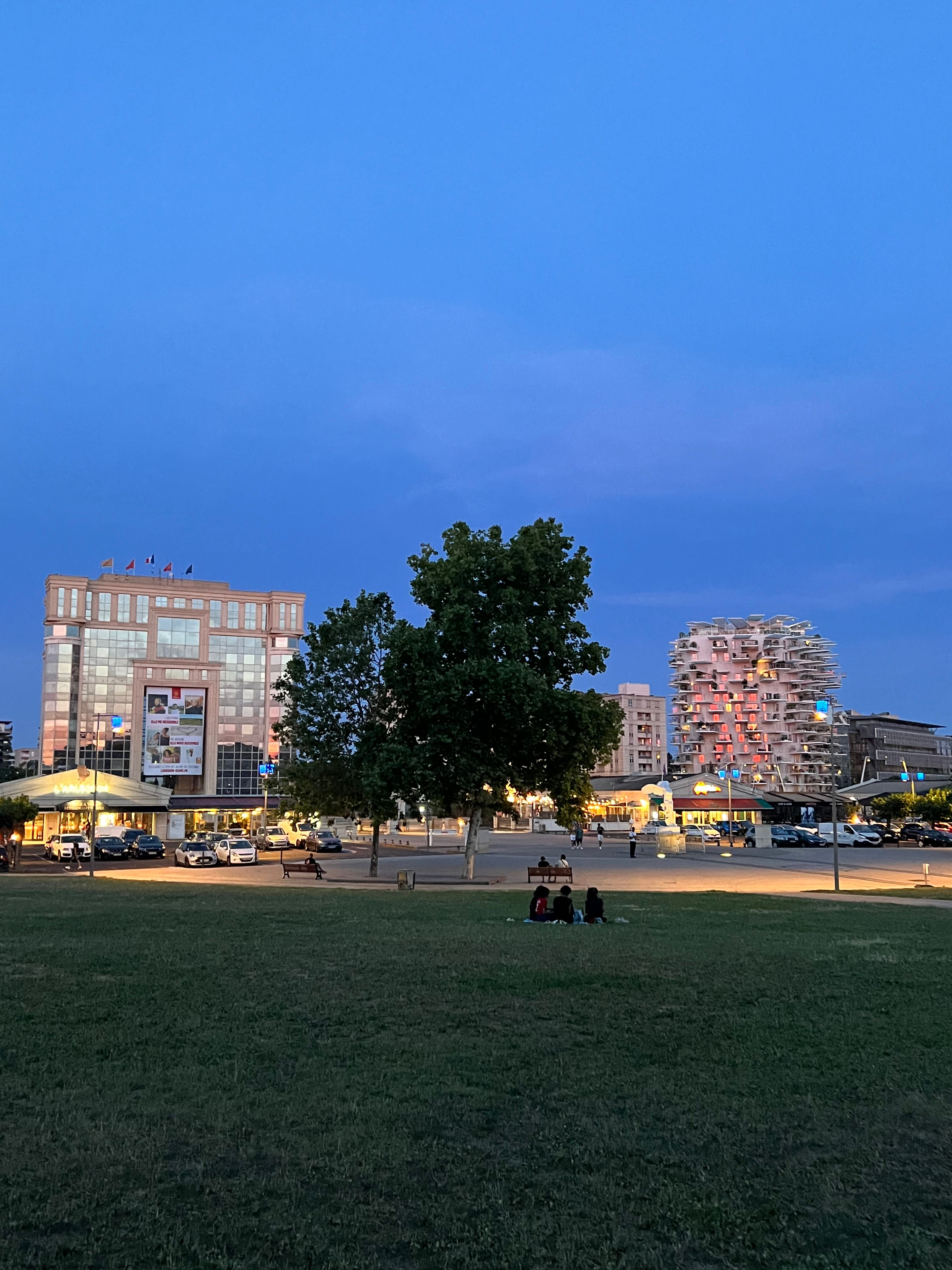 image-19