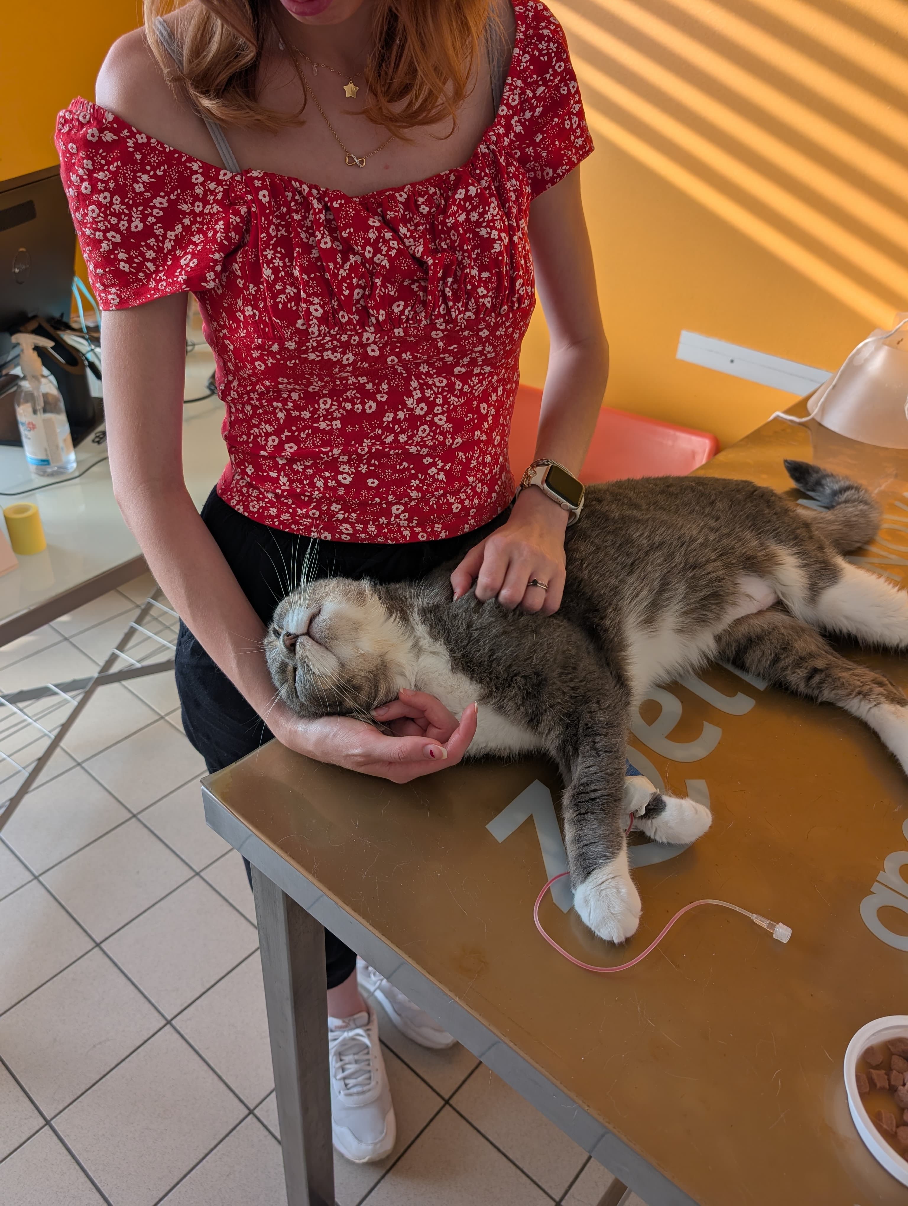 image-6