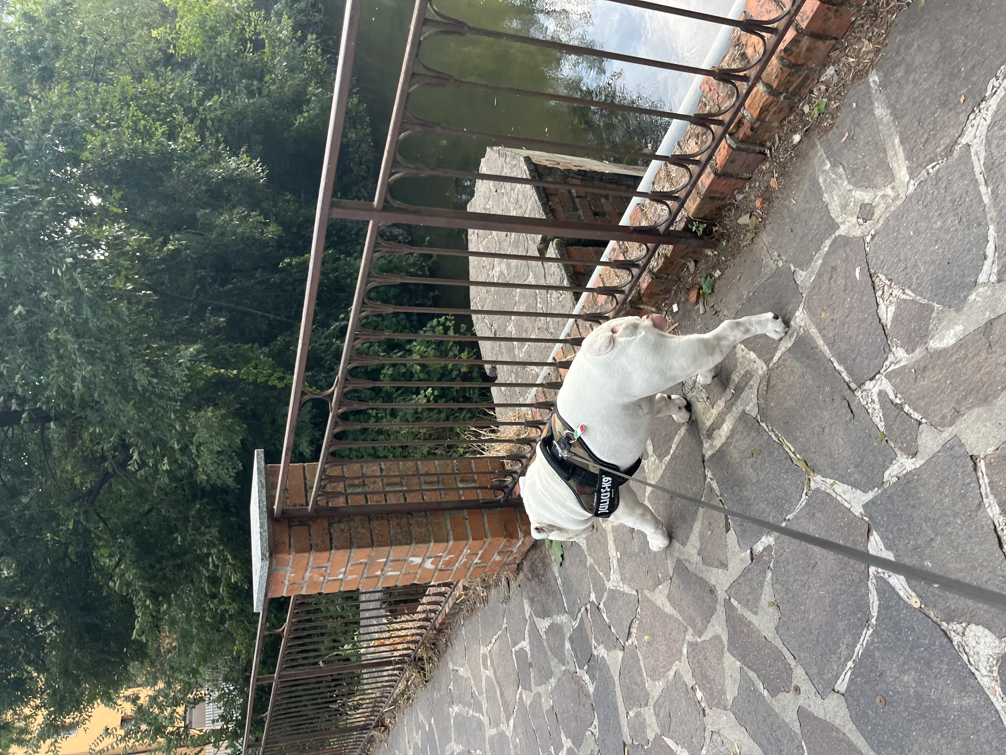 image-28