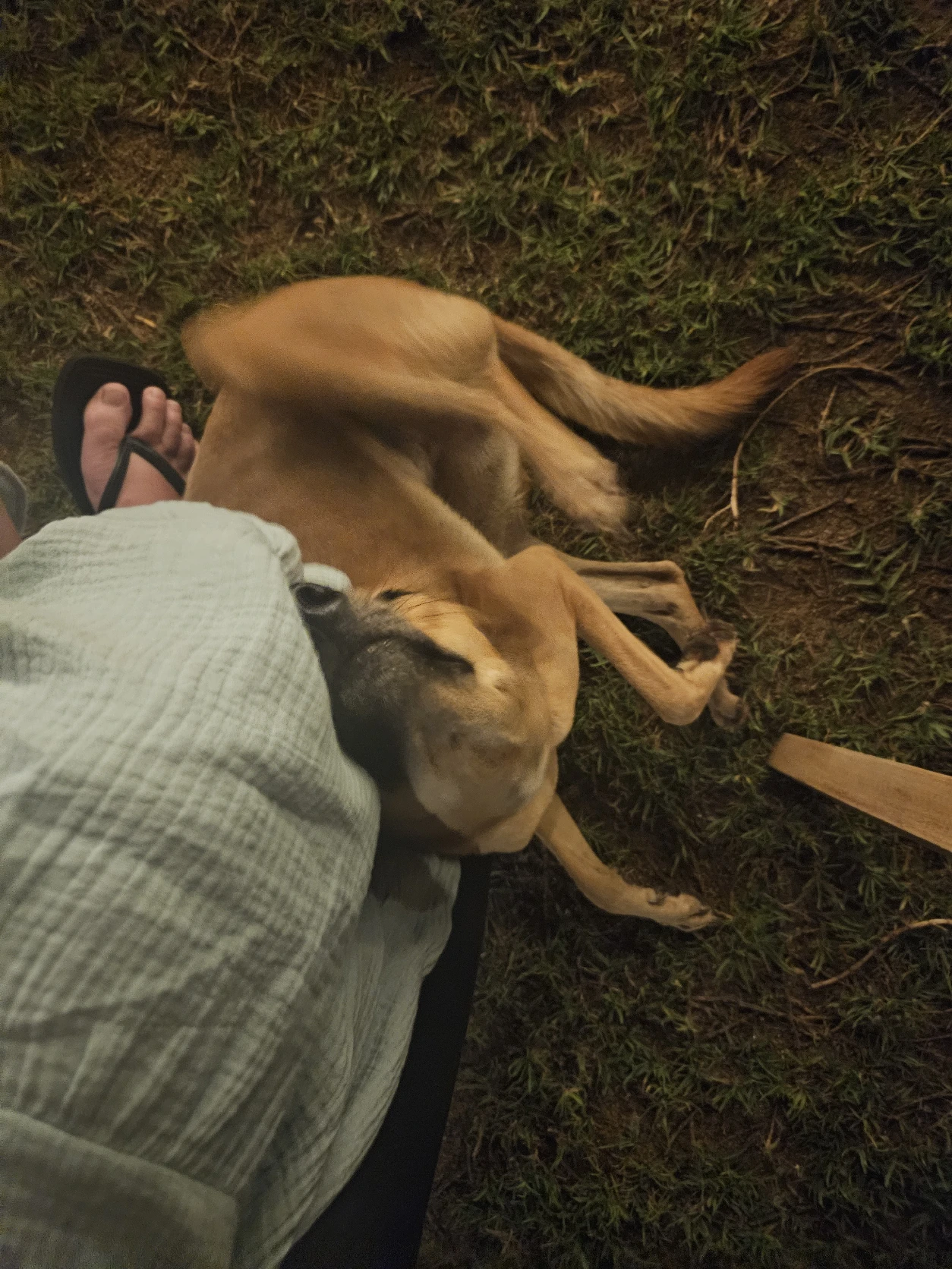image-5