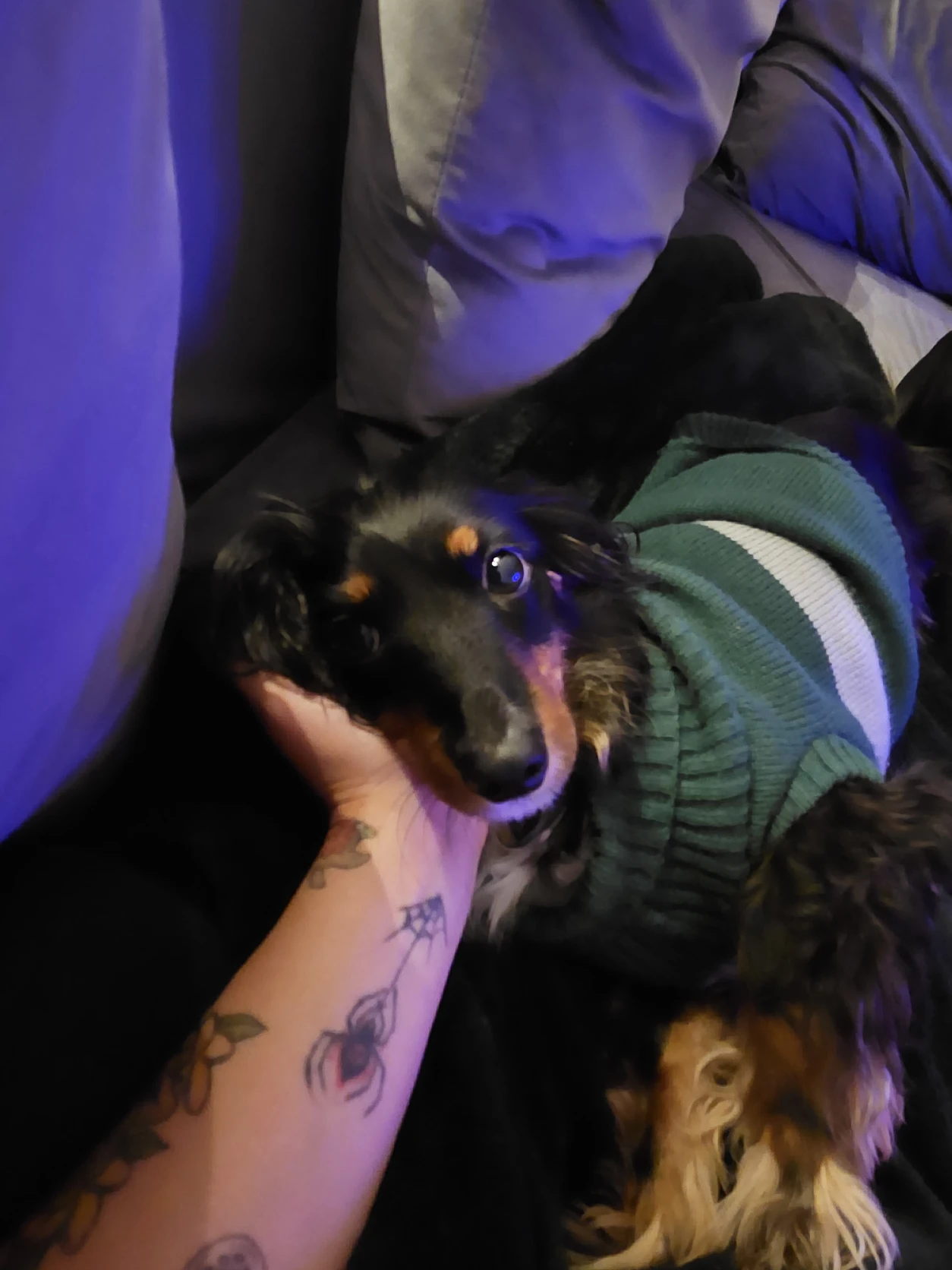image-8