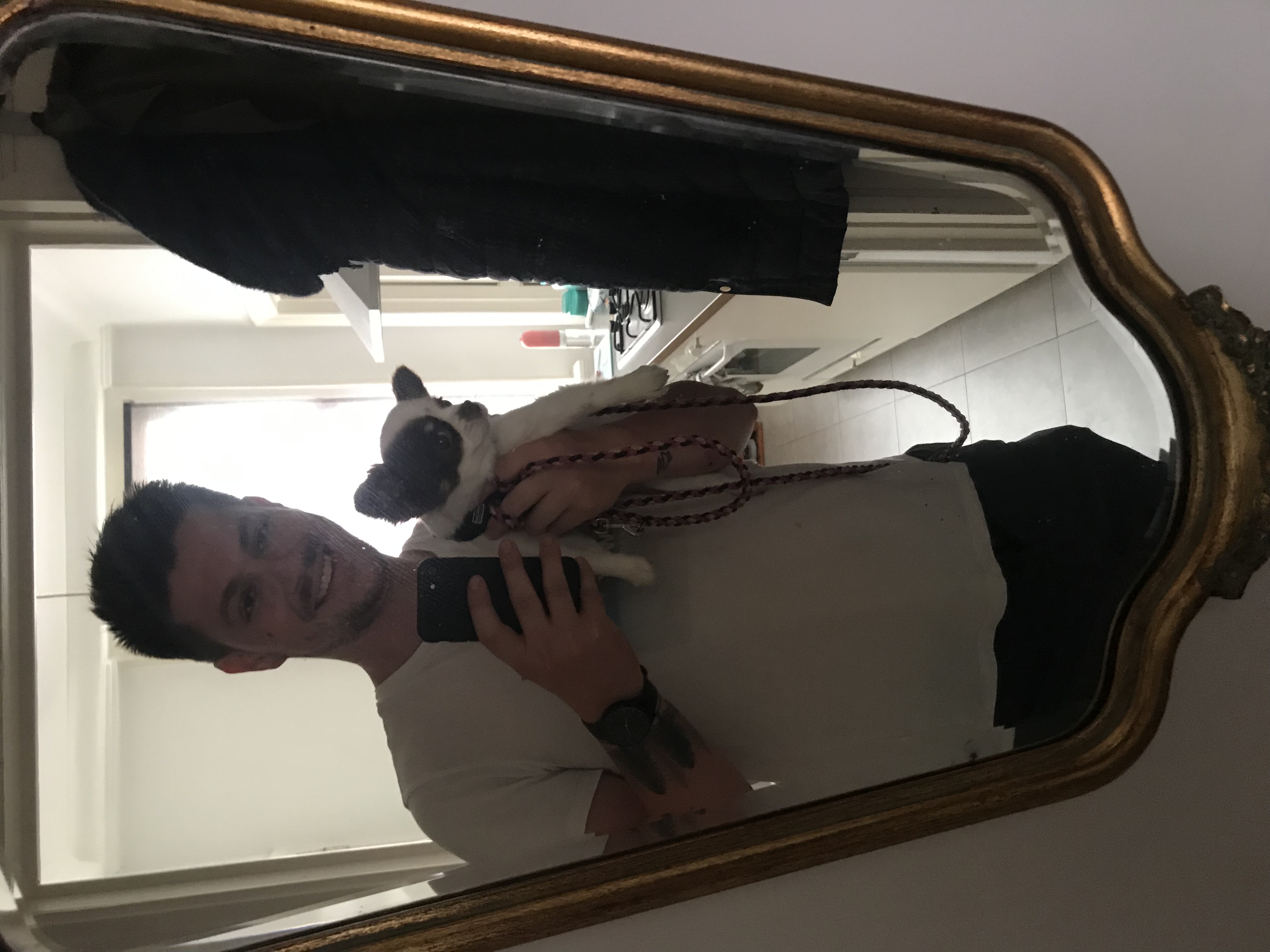 image-7