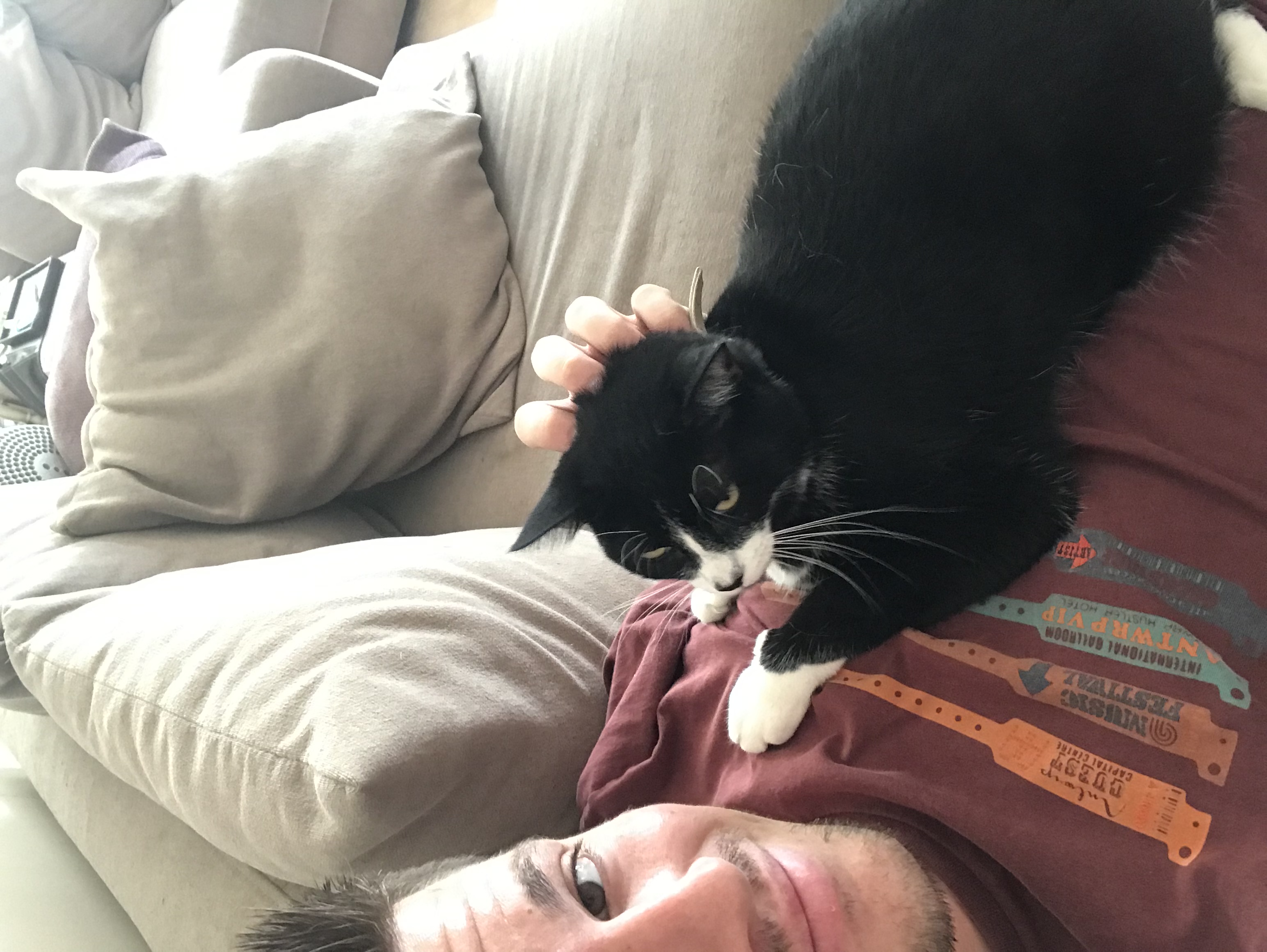 image-6