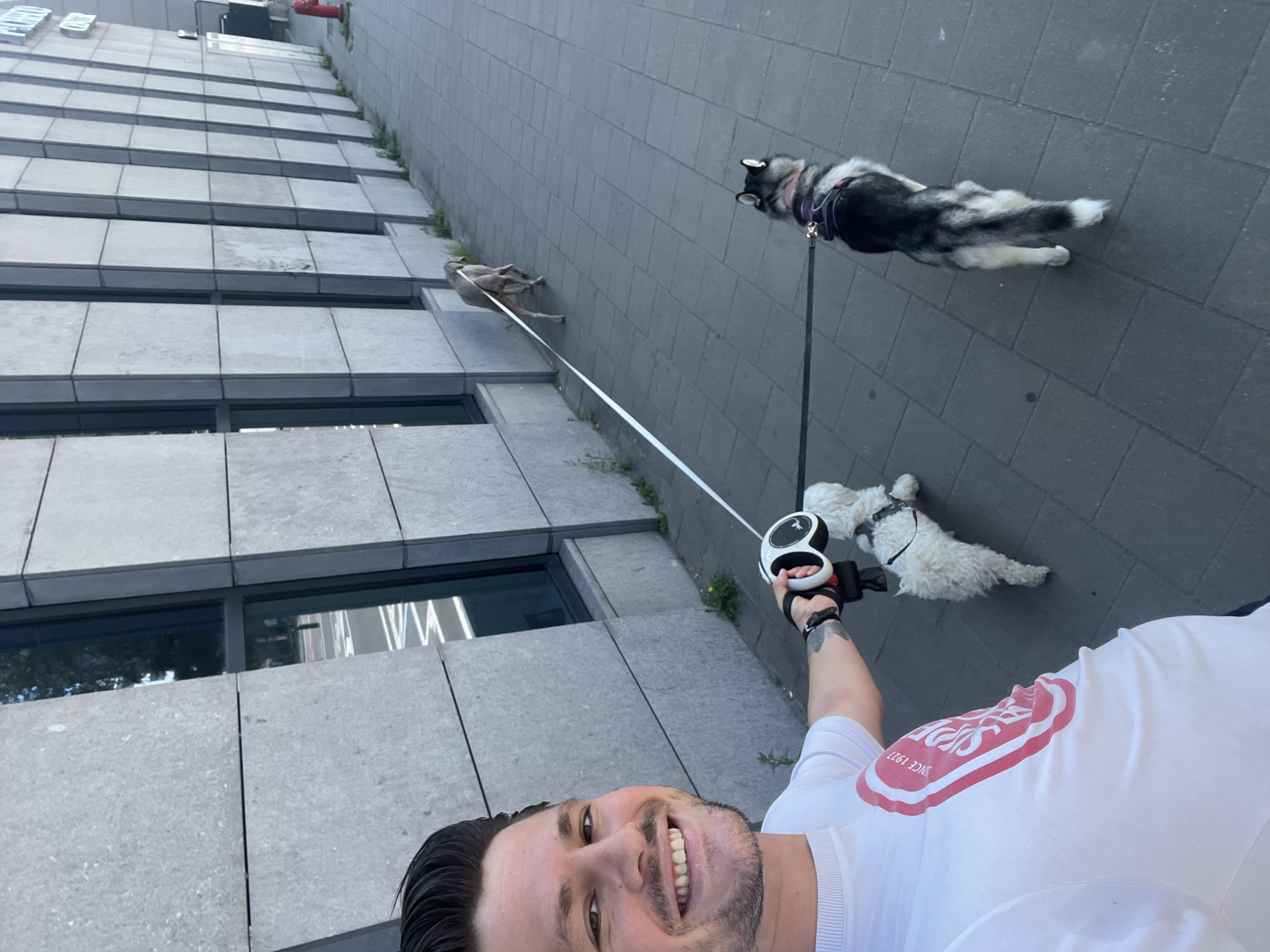 image-4